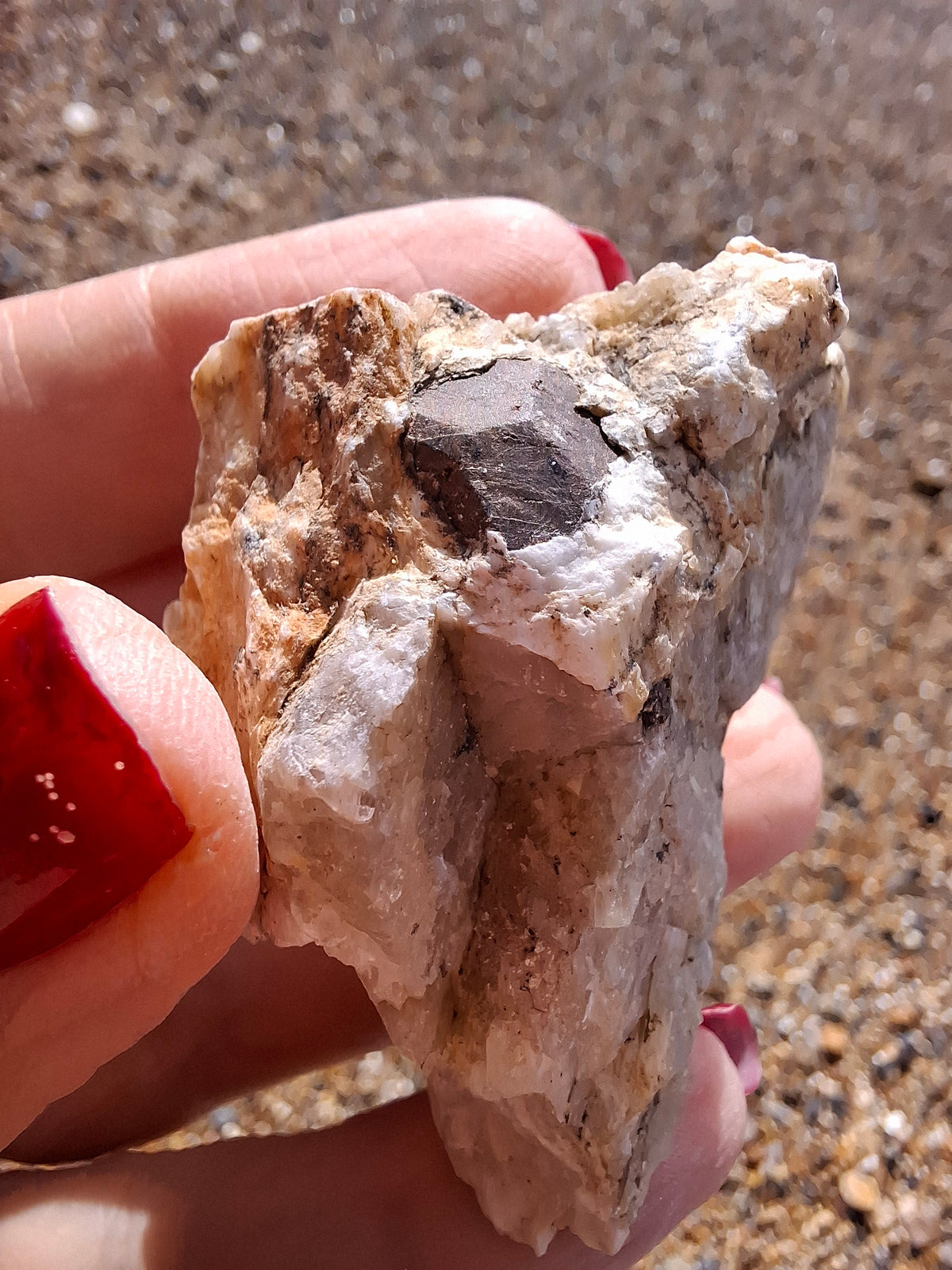 (Dig your own) Garnet in Matrix, Crystal (Ref: RG1)