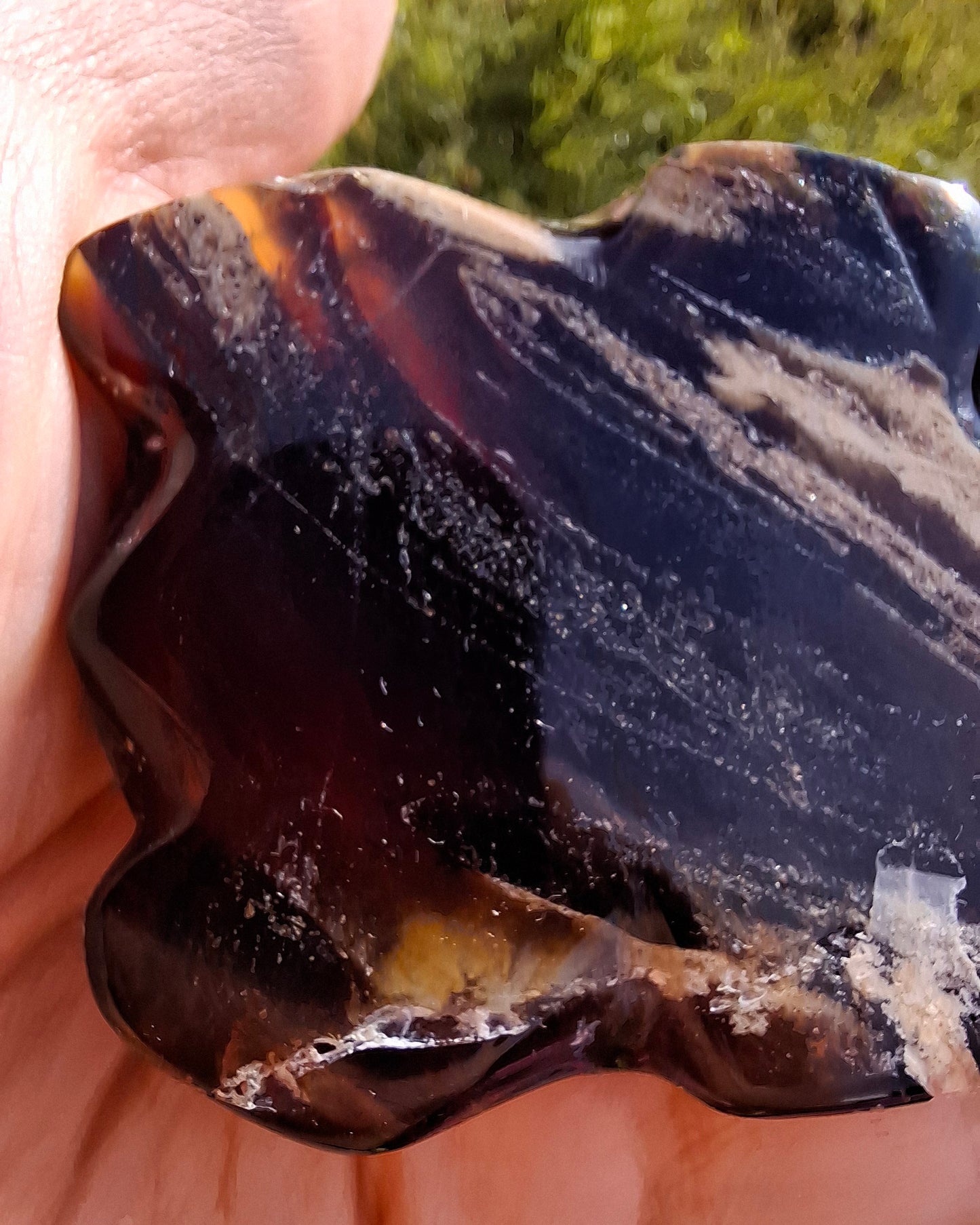 Red Amber Turtle, 50.00g, Carving, Fossil (Ref: TT6)