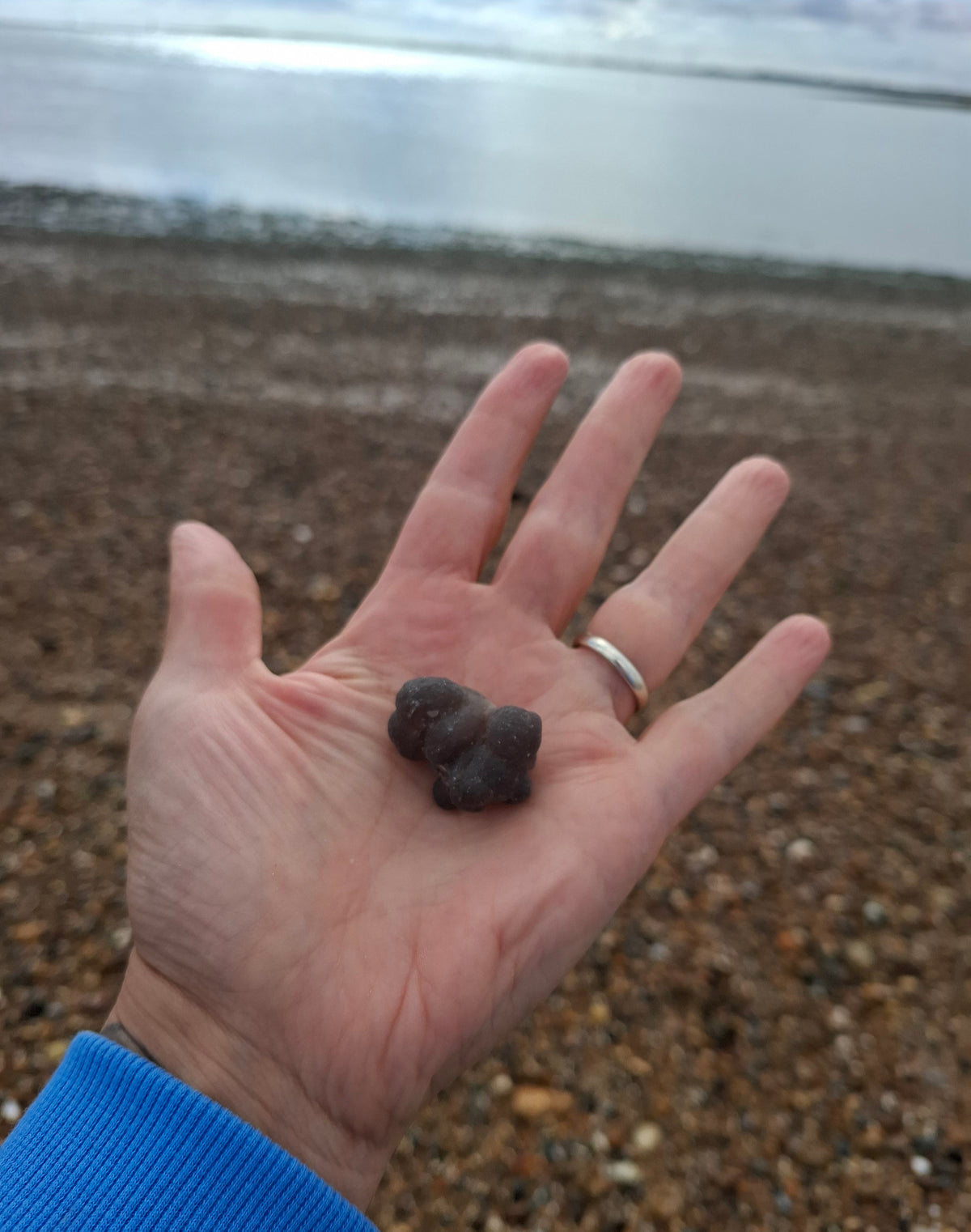 Nebula Chalcedony, 16.91g, Fossil (Ref: NC1)