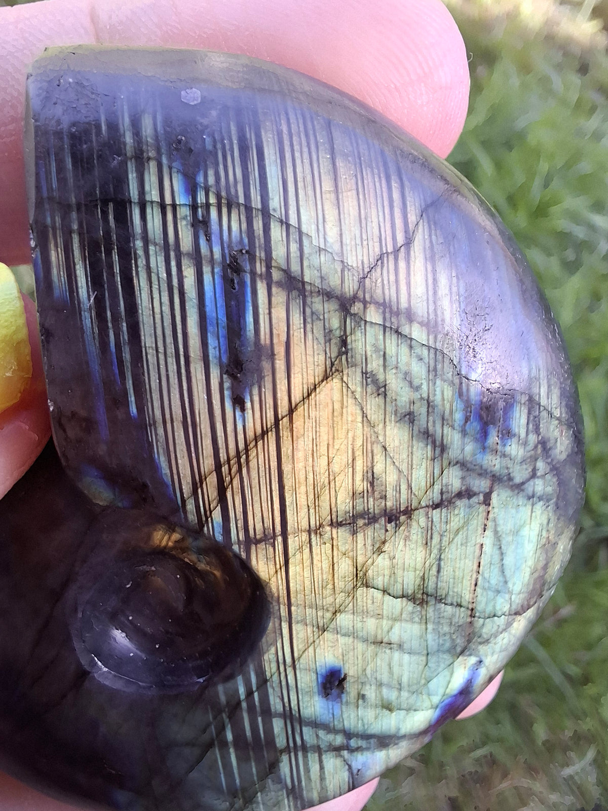 Labradorite Ammonite carving, 96.88g, Crystal (Ref: laba1)
