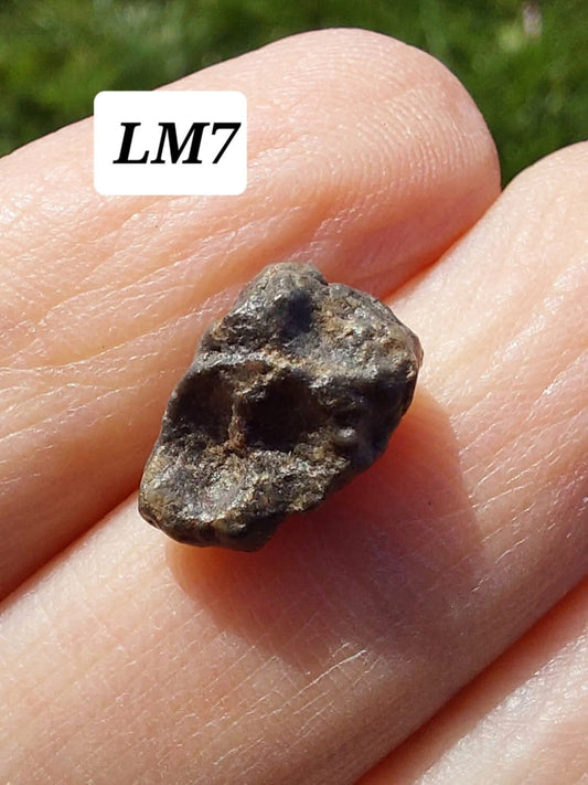 Lunar Meteorite, 0.83g, 'Moon Rock' (Ref: LM7)
