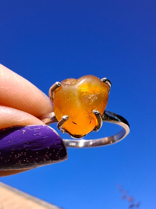 Baltic Amber Ring, size large Y, 925 Silver, Fossil (Ref: AR39)