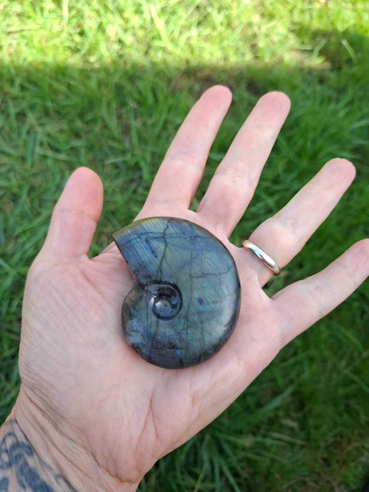 Labradorite Ammonite carving, 96.88g, Crystal (Ref: laba1)