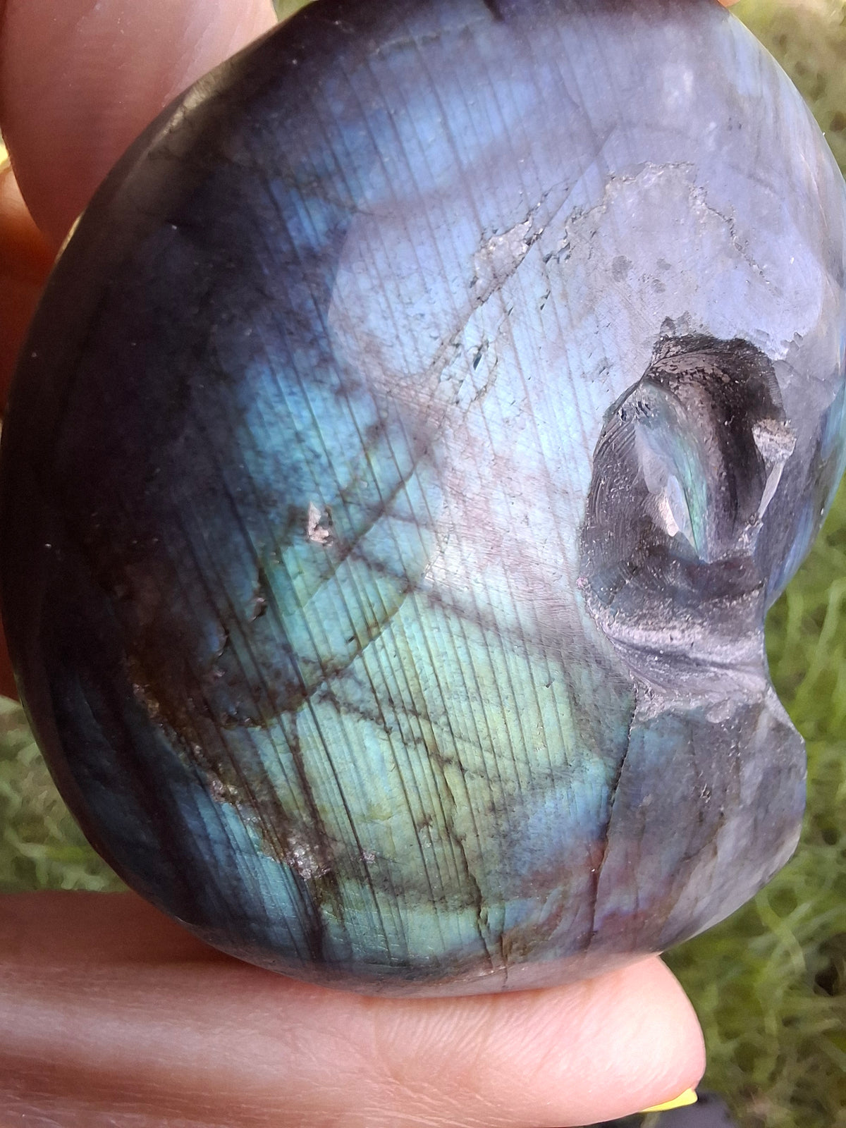 Labradorite Ammonite Carving, 111.66g, Crystal (Ref: laba3)