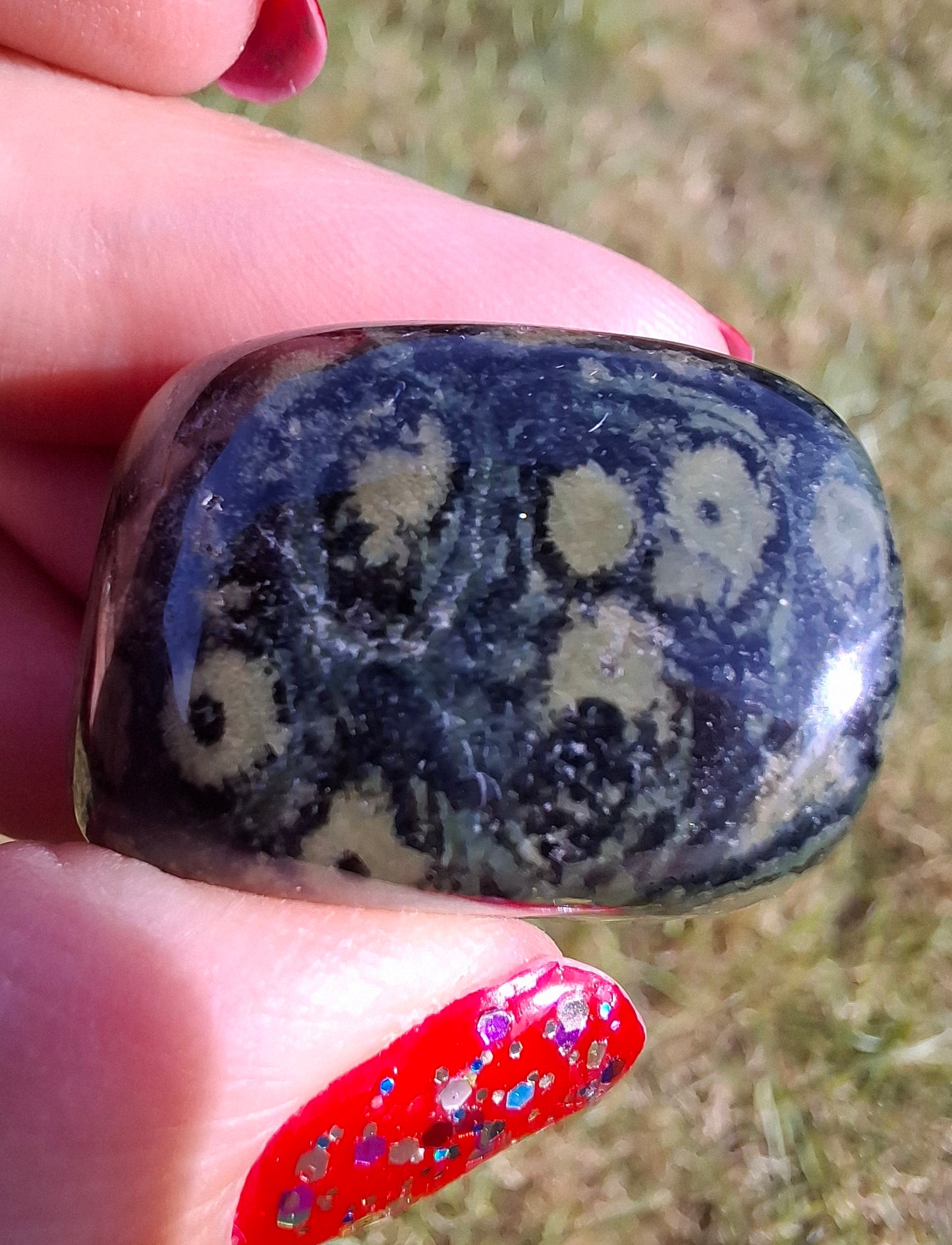 Kambaba Jasper, Tumble Stone, Crystal (Ref: T163)