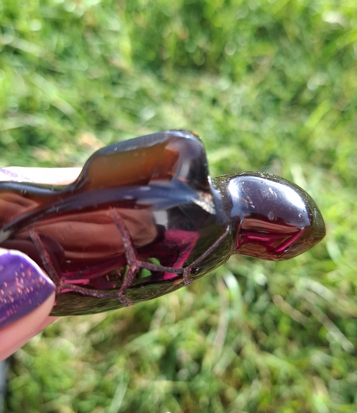 Red Amber Turtle, 47.85g, Carving, Fossil (Ref: TT4)