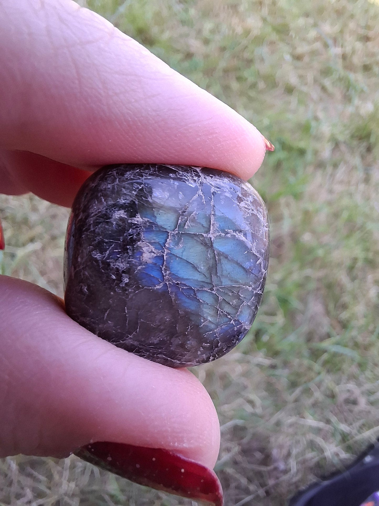 Labradorite, Tumble Stone, Crystal (Ref: T214)