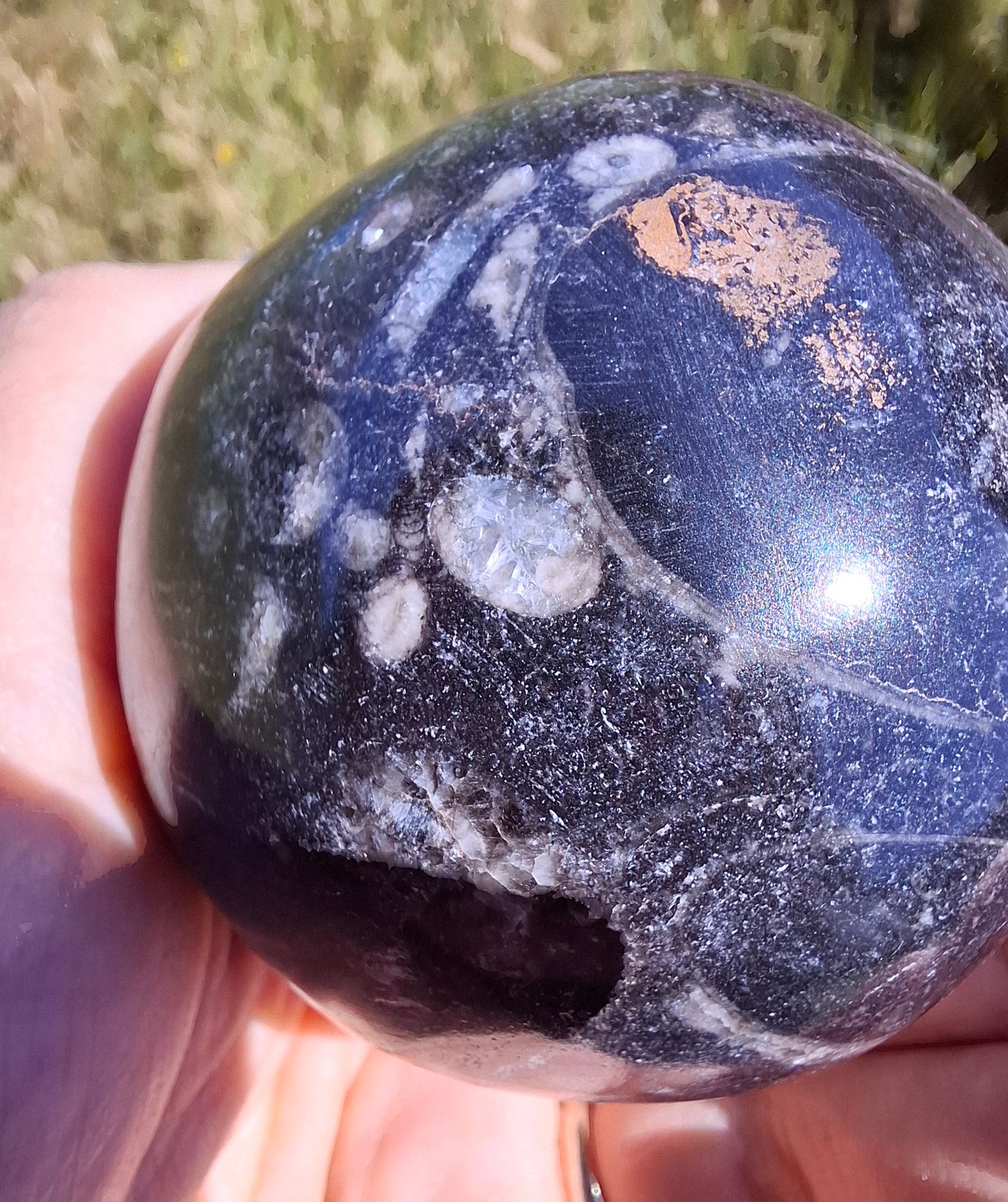 Orthoceras Sphere, Fossil (Ref: OS3)