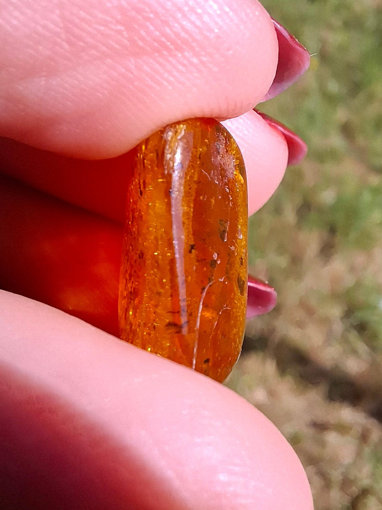 Baltic Amber, 1.59g, Fossil (Ref: A244)