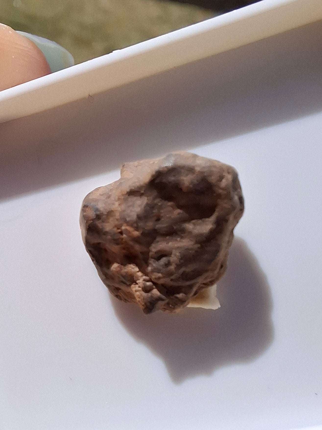 Chondrite, Meteorite (Ref: CM5)