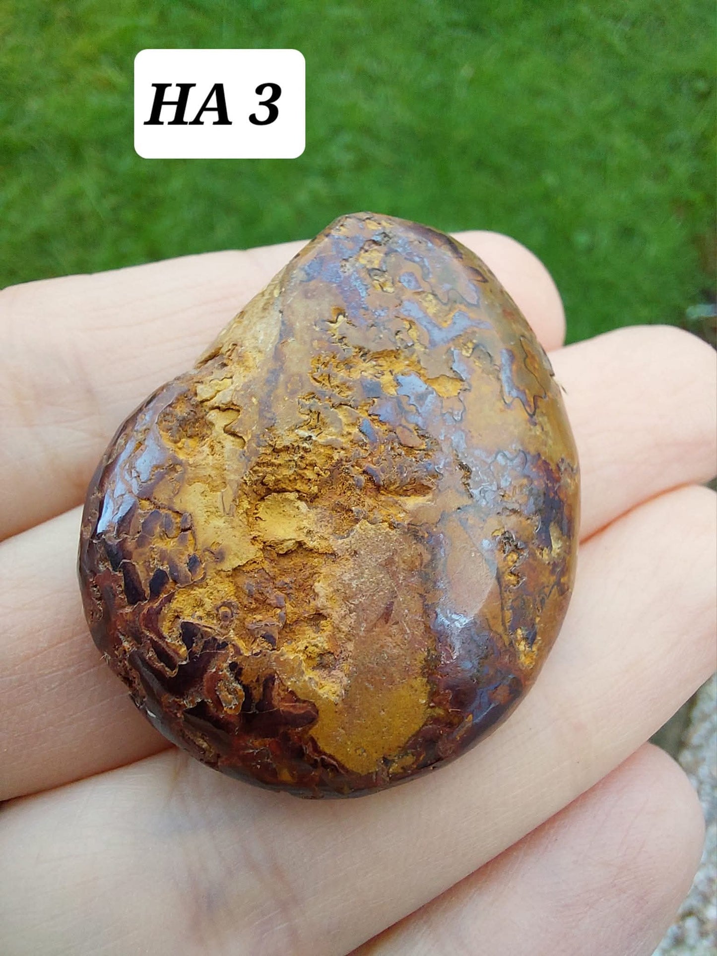 Hematite Ammonite, 16.00g, Fossil (Ref: HA3)