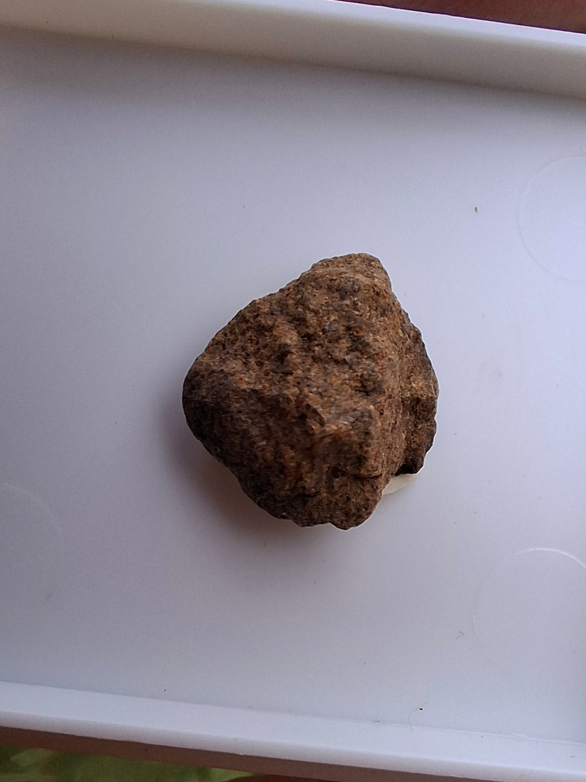 Chondrite, Meteorite (Ref: CM9)