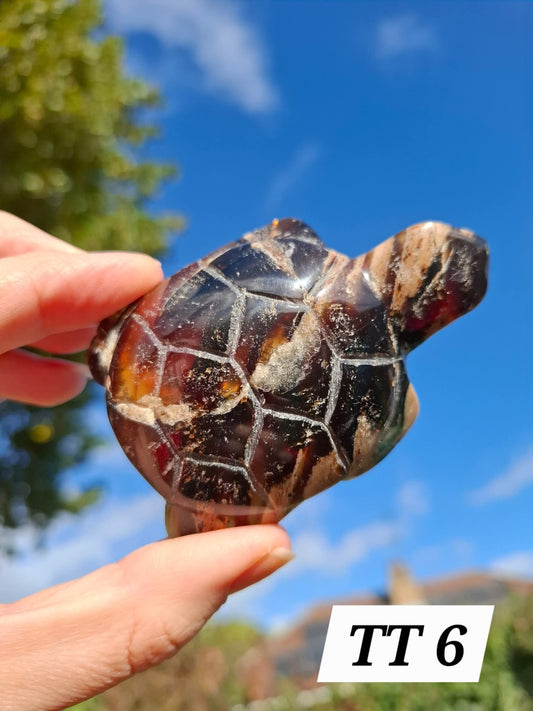 Red Amber Turtle, 50.00g, Carving, Fossil (Ref: TT6)
