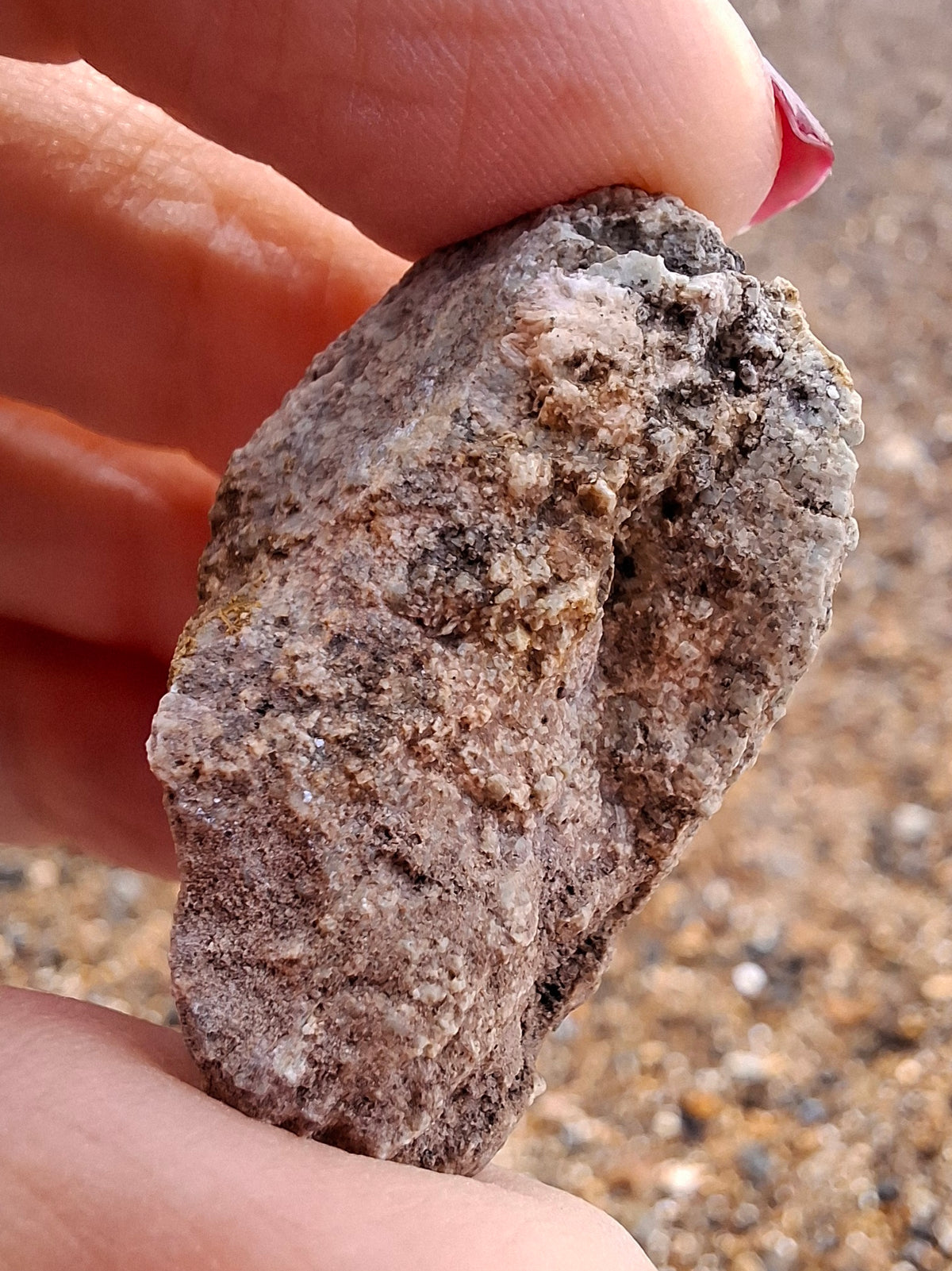 Sauropod Dinosaur Coprolite, 12.82g, Fossil (Ref: DP1)