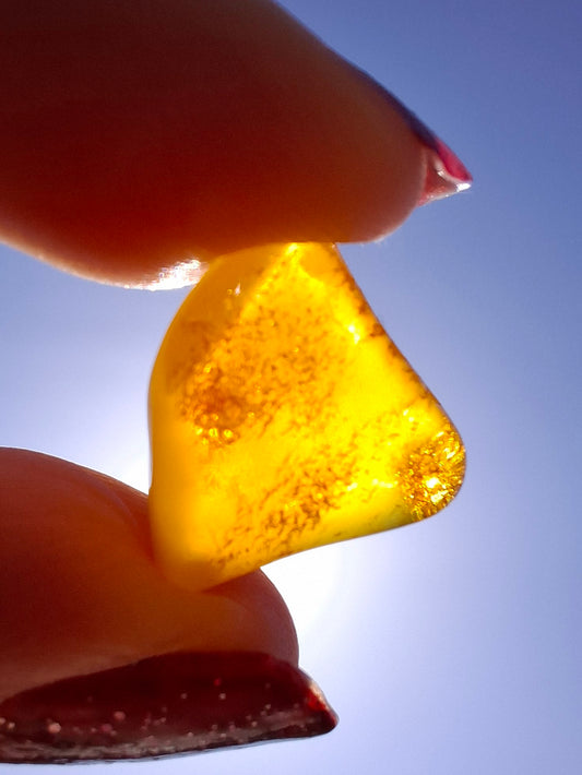 Baltic Amber, 1.00g, Fossil (Ref: A250)