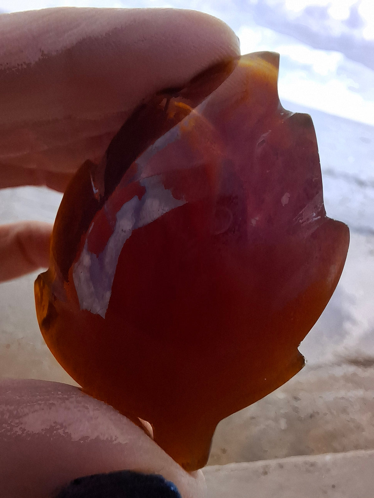 Red Amber Leaf Carving, 8.45g, Fossil (Ref: Leaf1)
