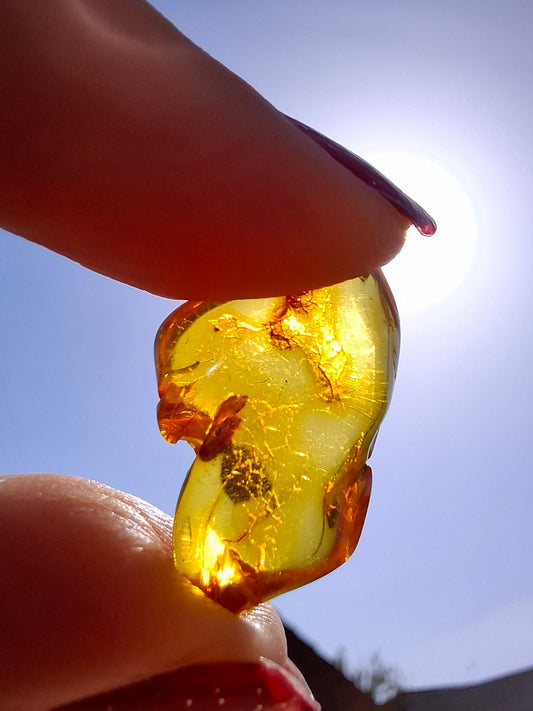 Baltic Amber, 1.31g, Fossil (Ref: A234)
