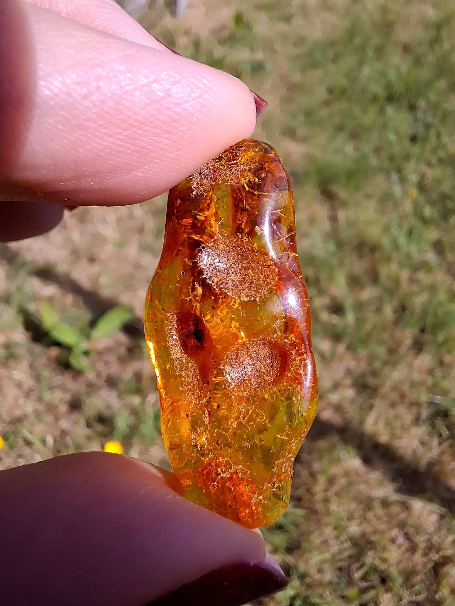 Baltic Amber, 2.95g, Fossil (Ref: A159)