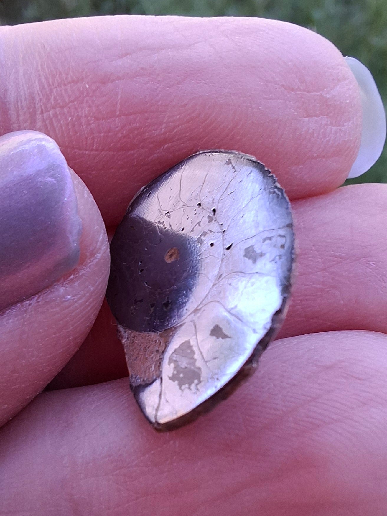 Small Haematite Ammonite HALF, 1.36g, Fossil (Ref: MA12)