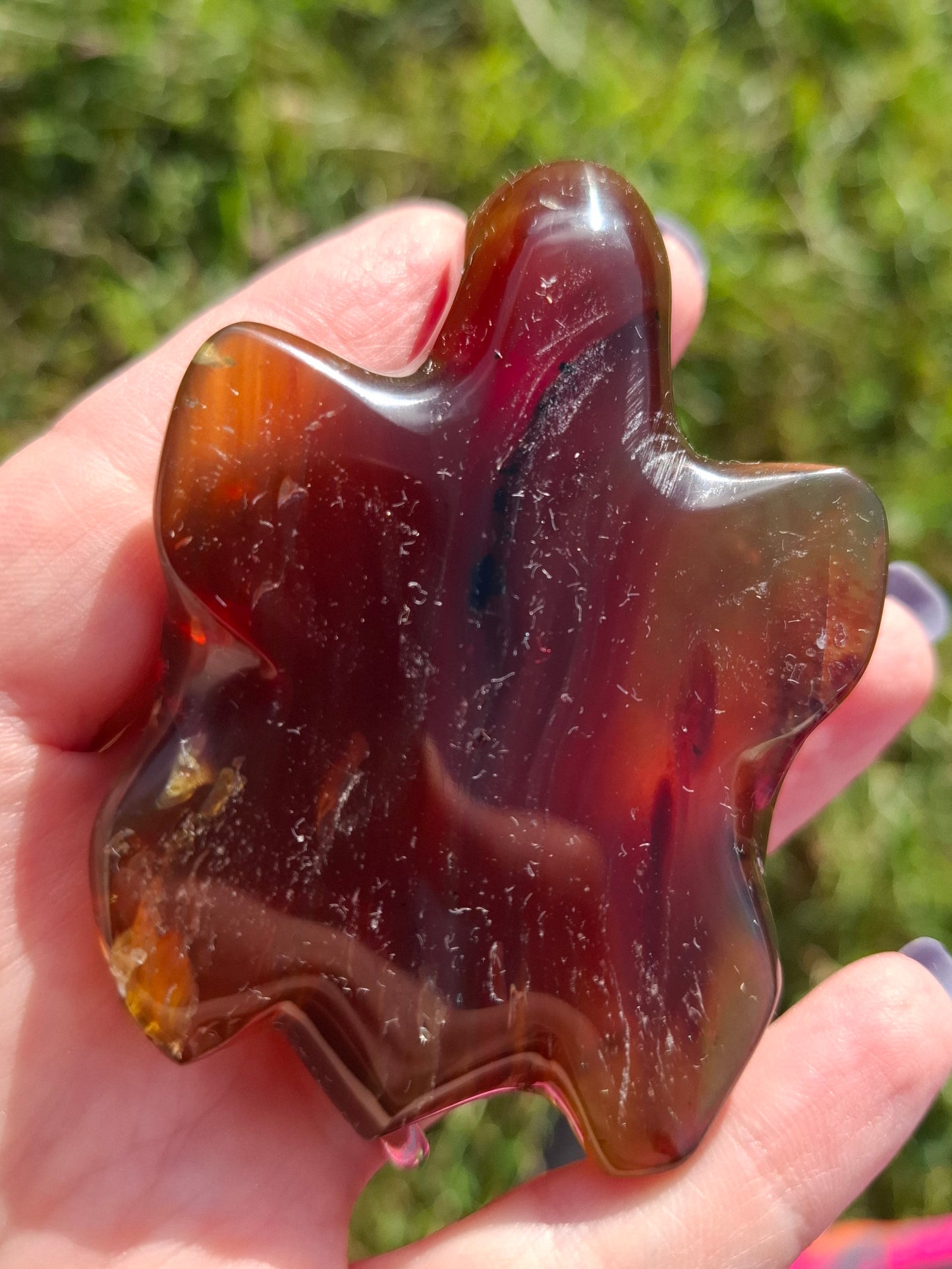 Red Amber Turtle, 49.15g, Carving, Fossil (Ref: TT1)