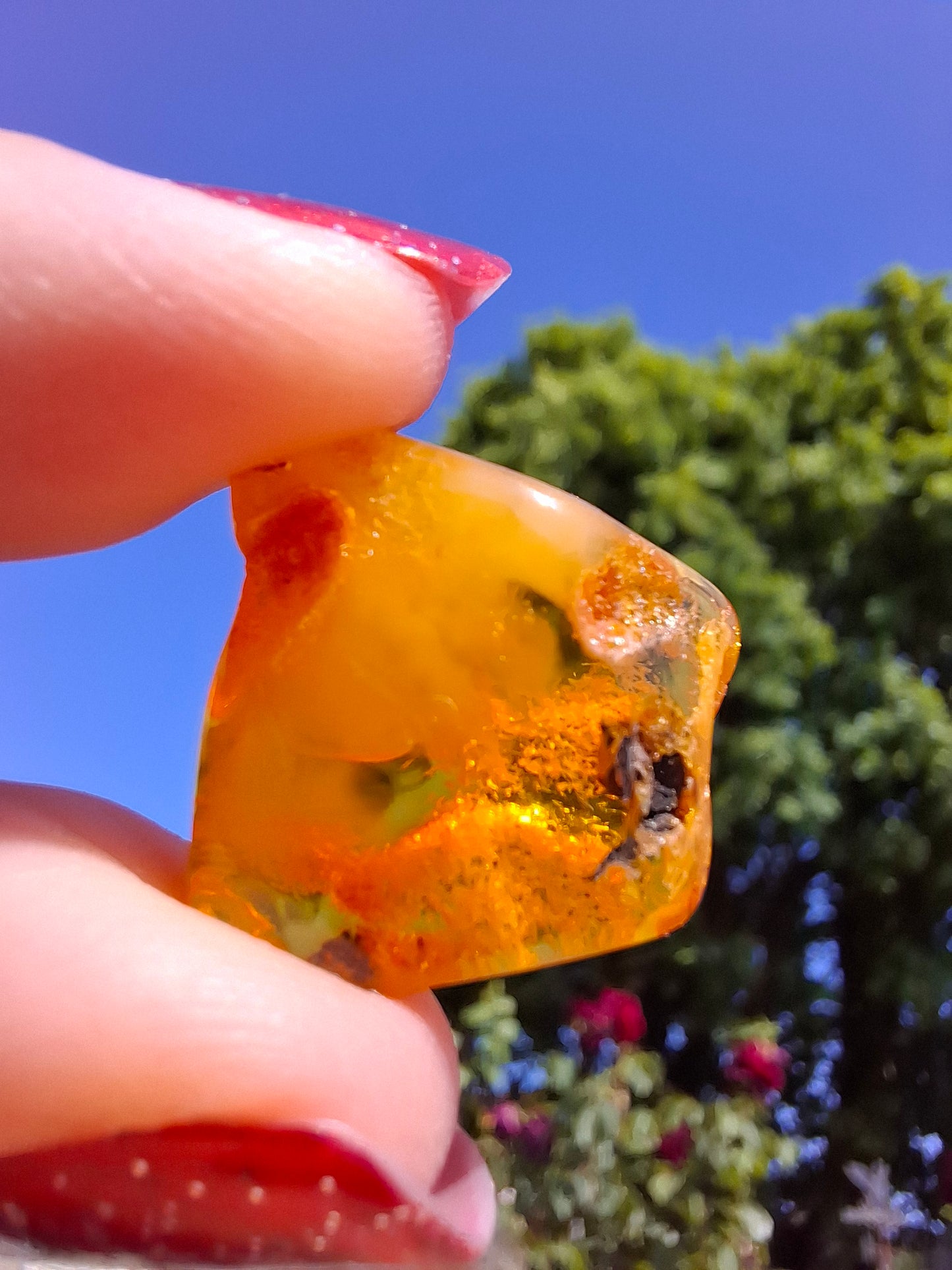 Baltic Amber, 1.74g, Fossil (Ref: A201)