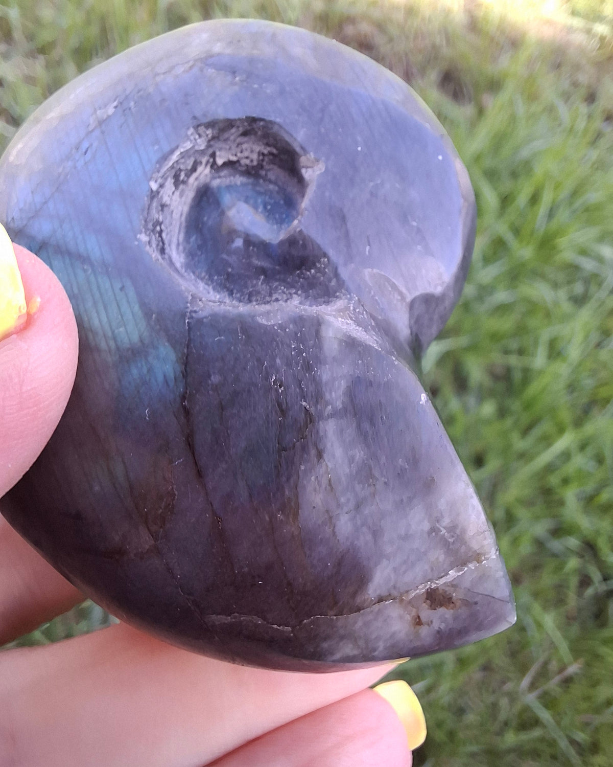 Labradorite Ammonite Carving, 111.66g, Crystal (Ref: laba3)