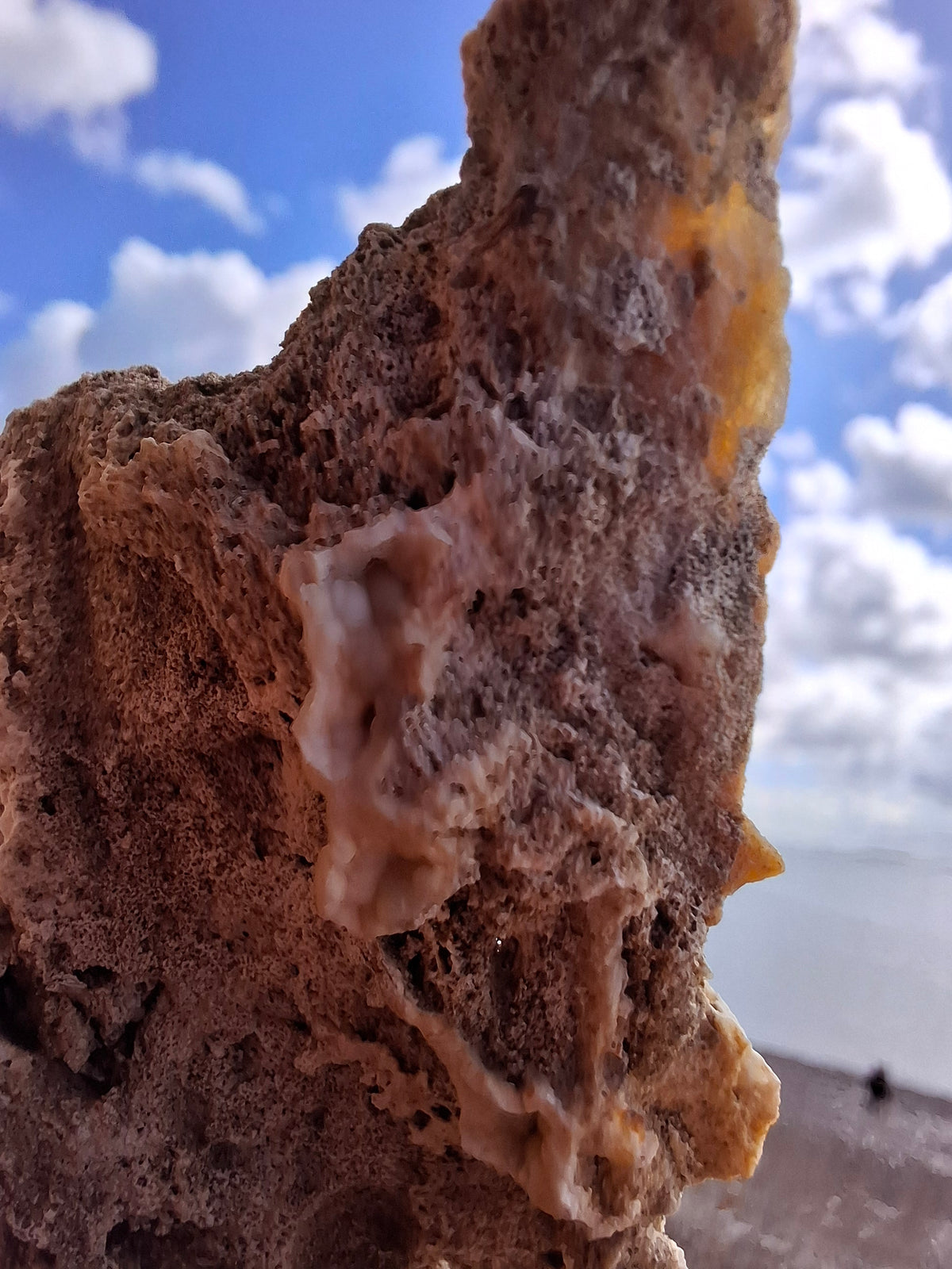 Fossilised Coral replaced by Chalcedony/Agate, Fossil (Ref: FCA2)