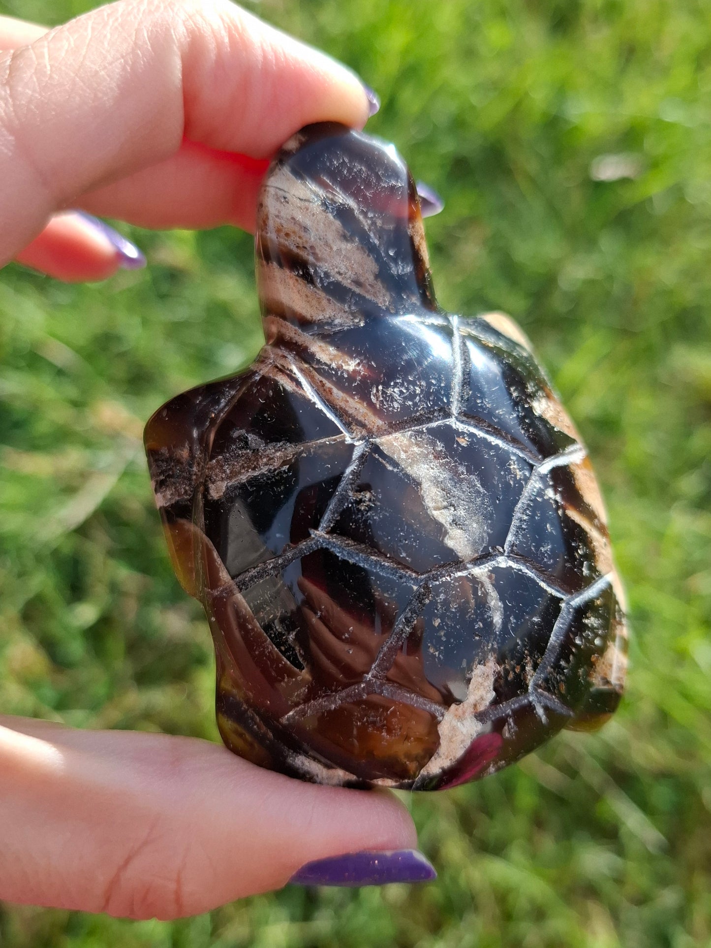 Red Amber Turtle, 50.00g, Carving, Fossil (Ref: TT6)