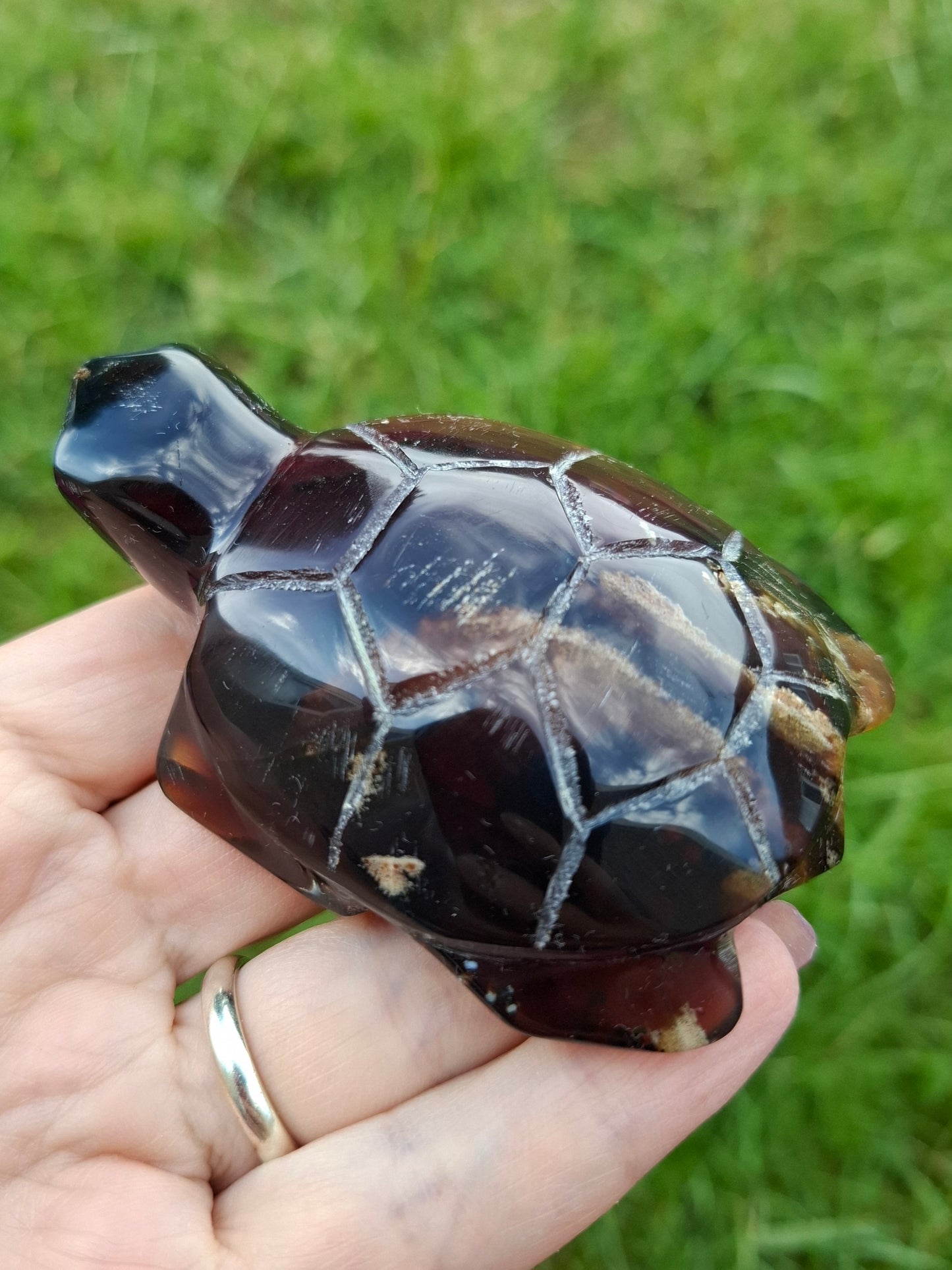 Red Amber Turtle, 52.00g, Carving, Fossil (Ref: TT3)
