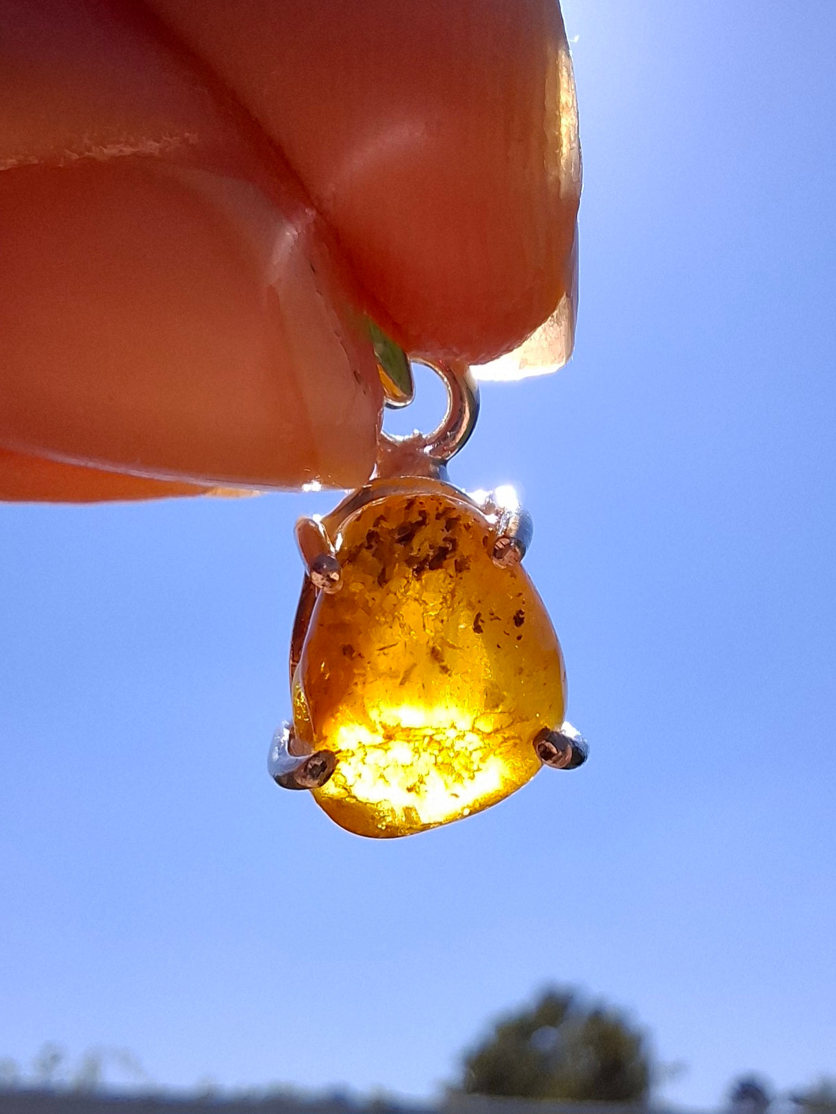 Baltic Amber Pendant, 925 Silver, Fossil (Ref: AP17)