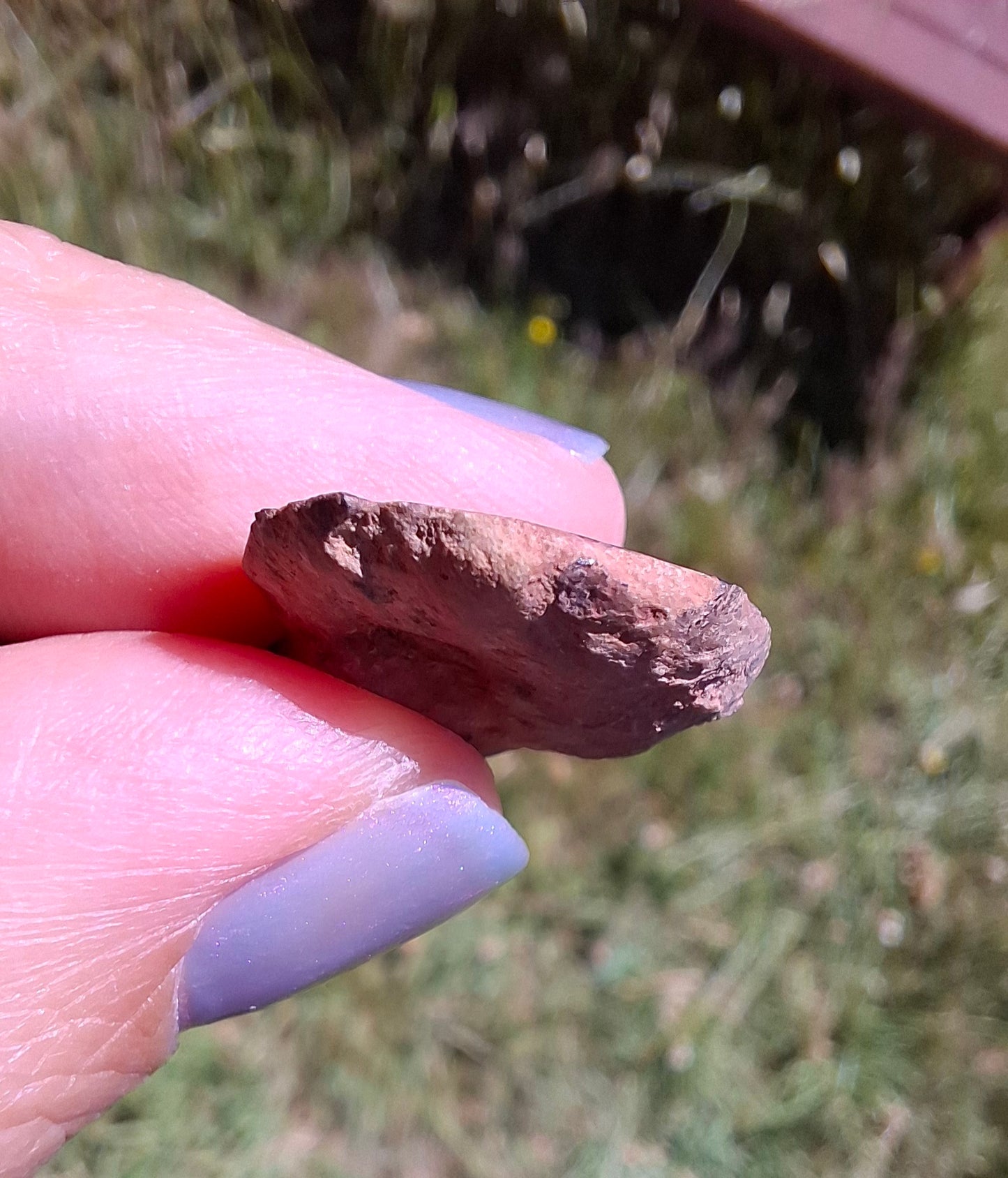 Small Haematite Ammonite HALF, 2.59g, Fossil (Ref: MA7)