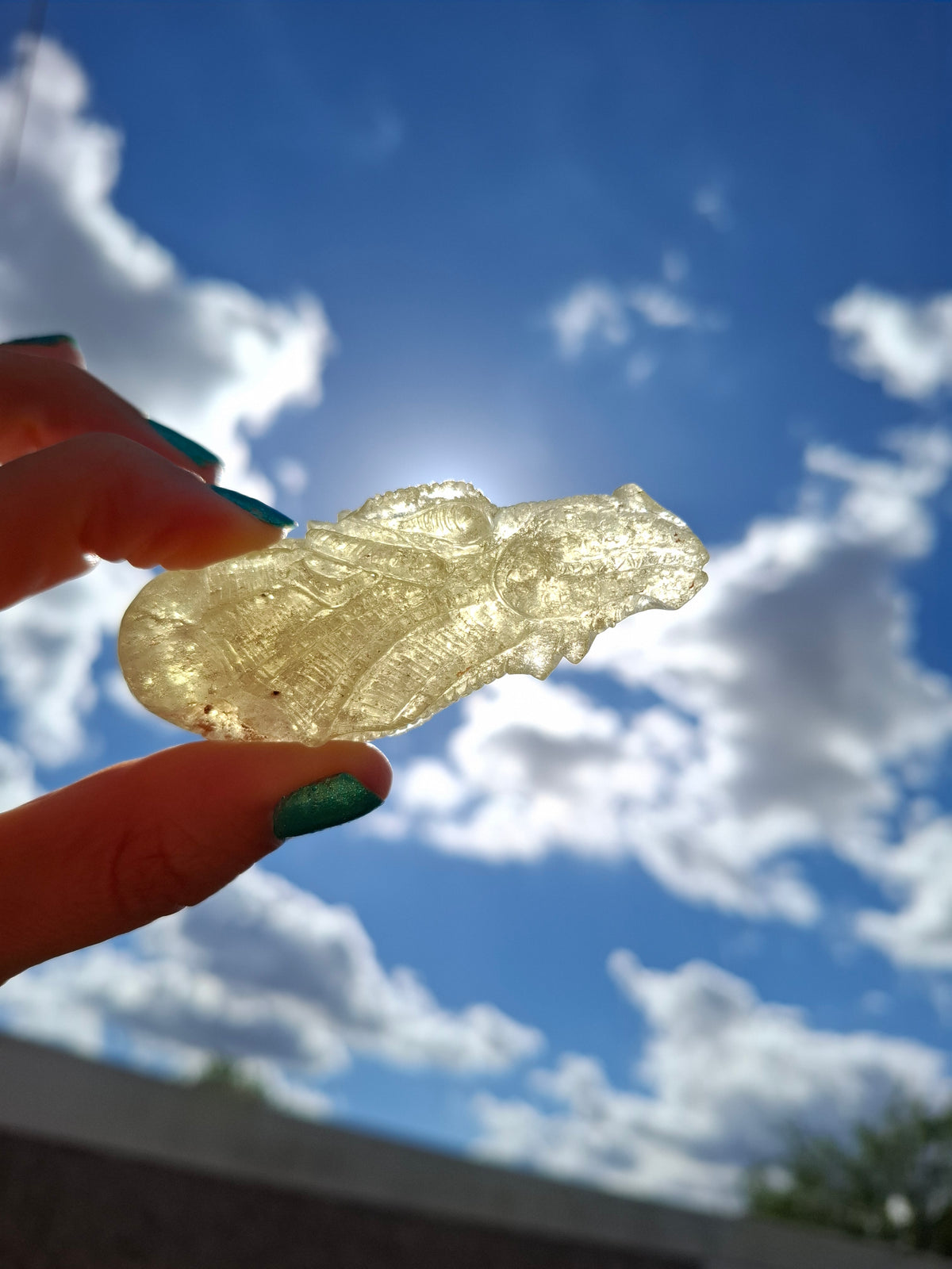 Libyan Desert Glass DRAGON HEAD carving, 48.11g, Tektite (Ref: Dragon4)