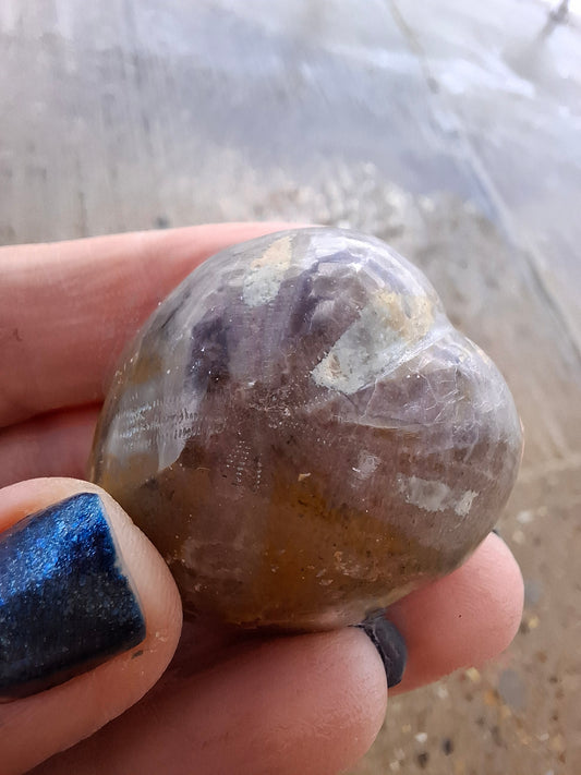 Polished Sea Urchin, Fossil (Ref: SU4)