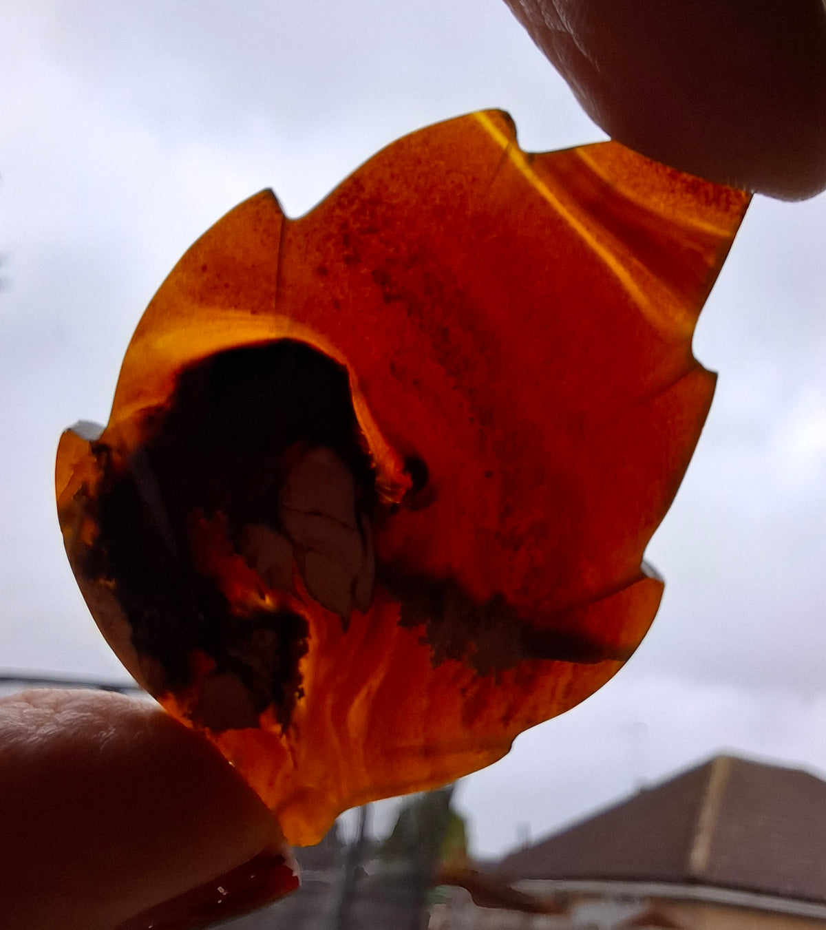 Red Amber Leaf Carving, 7.42g, Fossil (Ref: Leaf13)