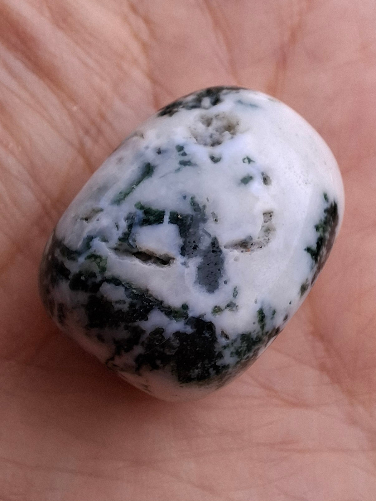 Tree Agate, Tumble Stone, Crystal (Ref: T5)