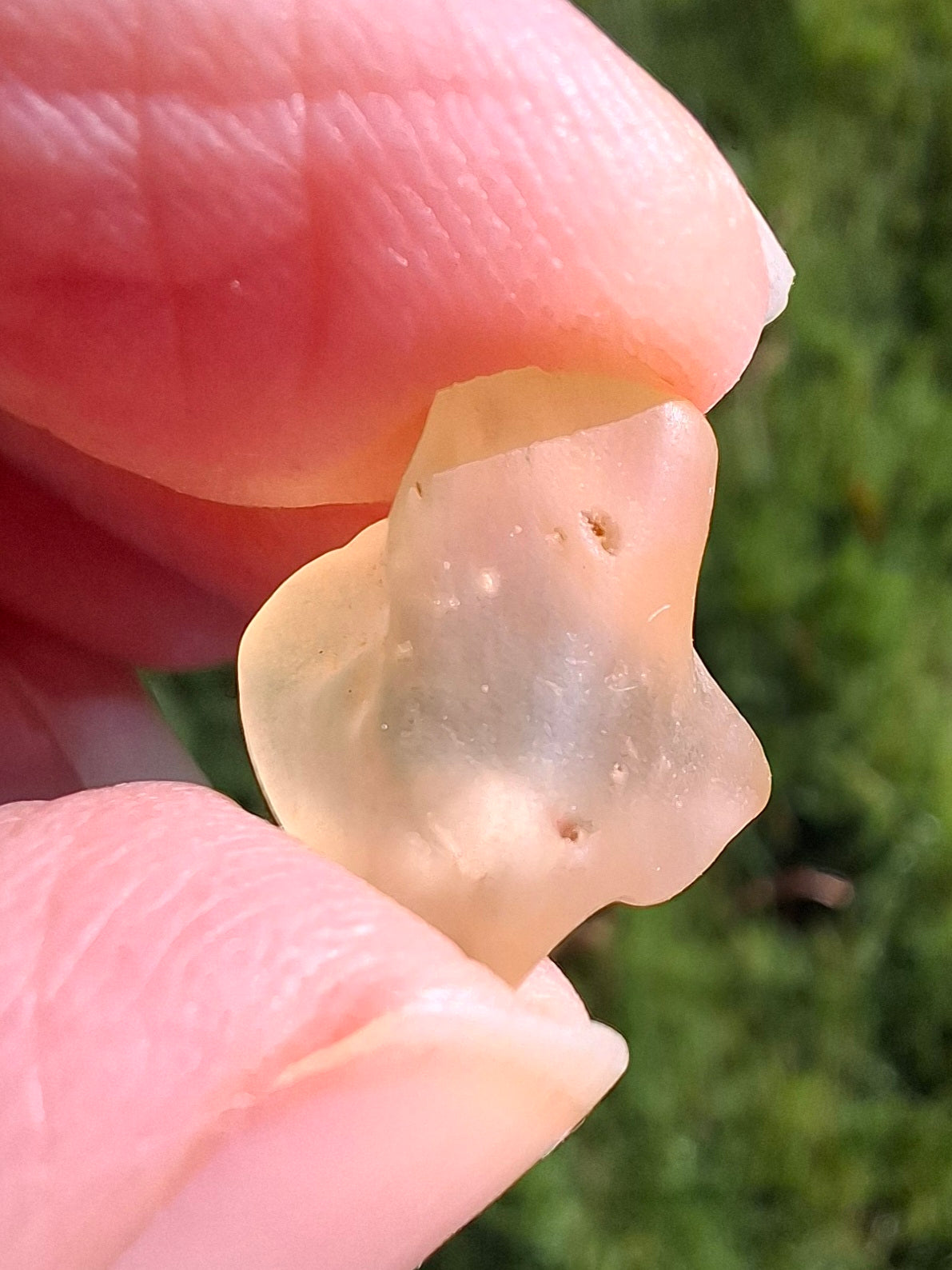 Libyan Desert Glass small Piece, 1.53g, Tektite (Ref: L1346)