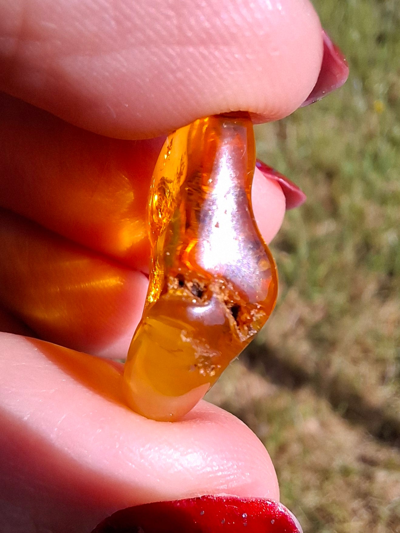 Baltic Amber, 1.51g, Fossil (Ref: A236)