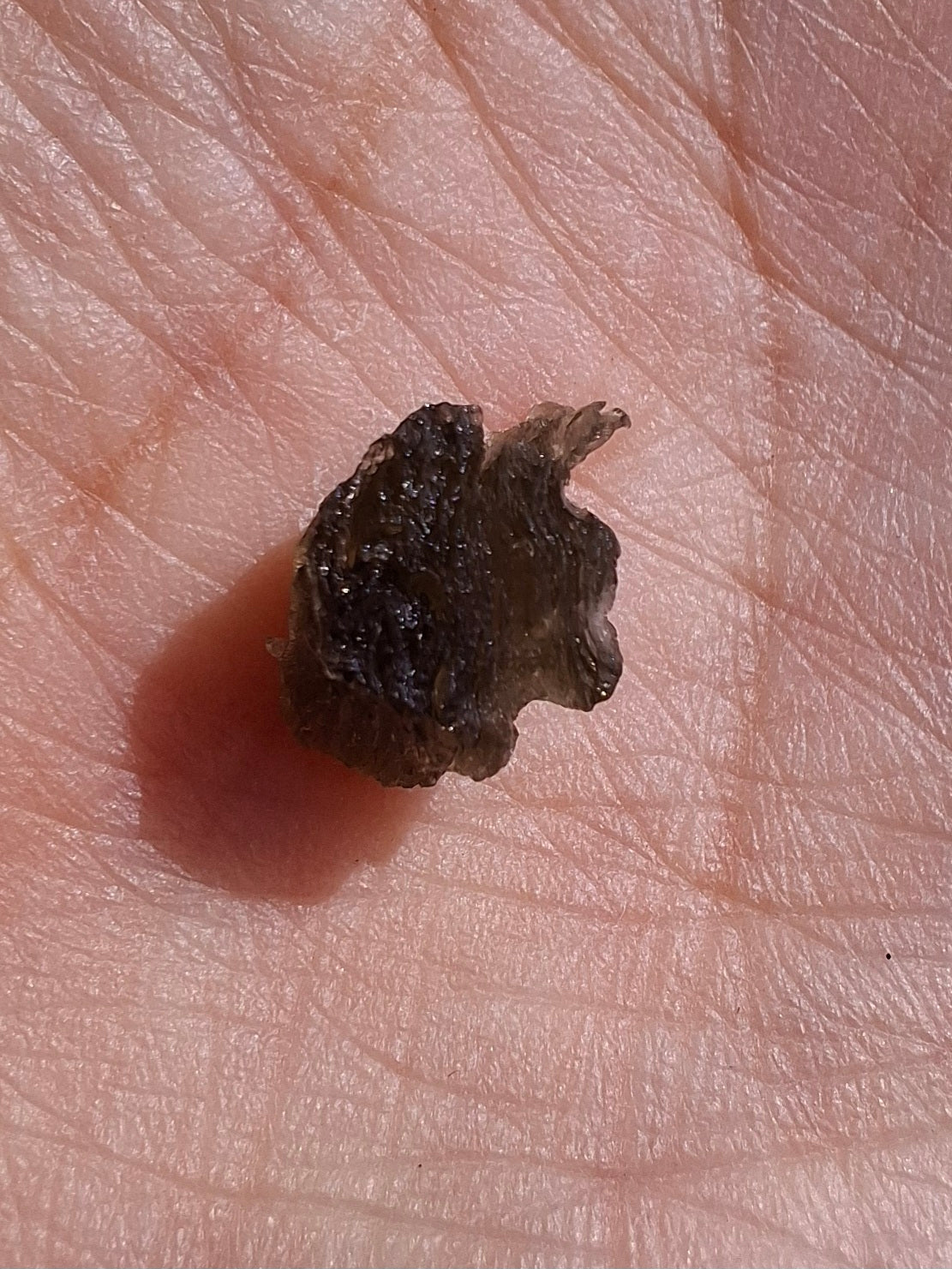 Moldavite Piece, 0.50g, Tektite (Ref: 1395)