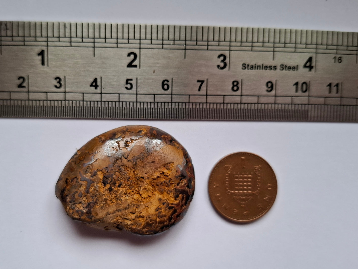 Hematite Ammonite, 16.00g, Fossil (Ref: HA3)