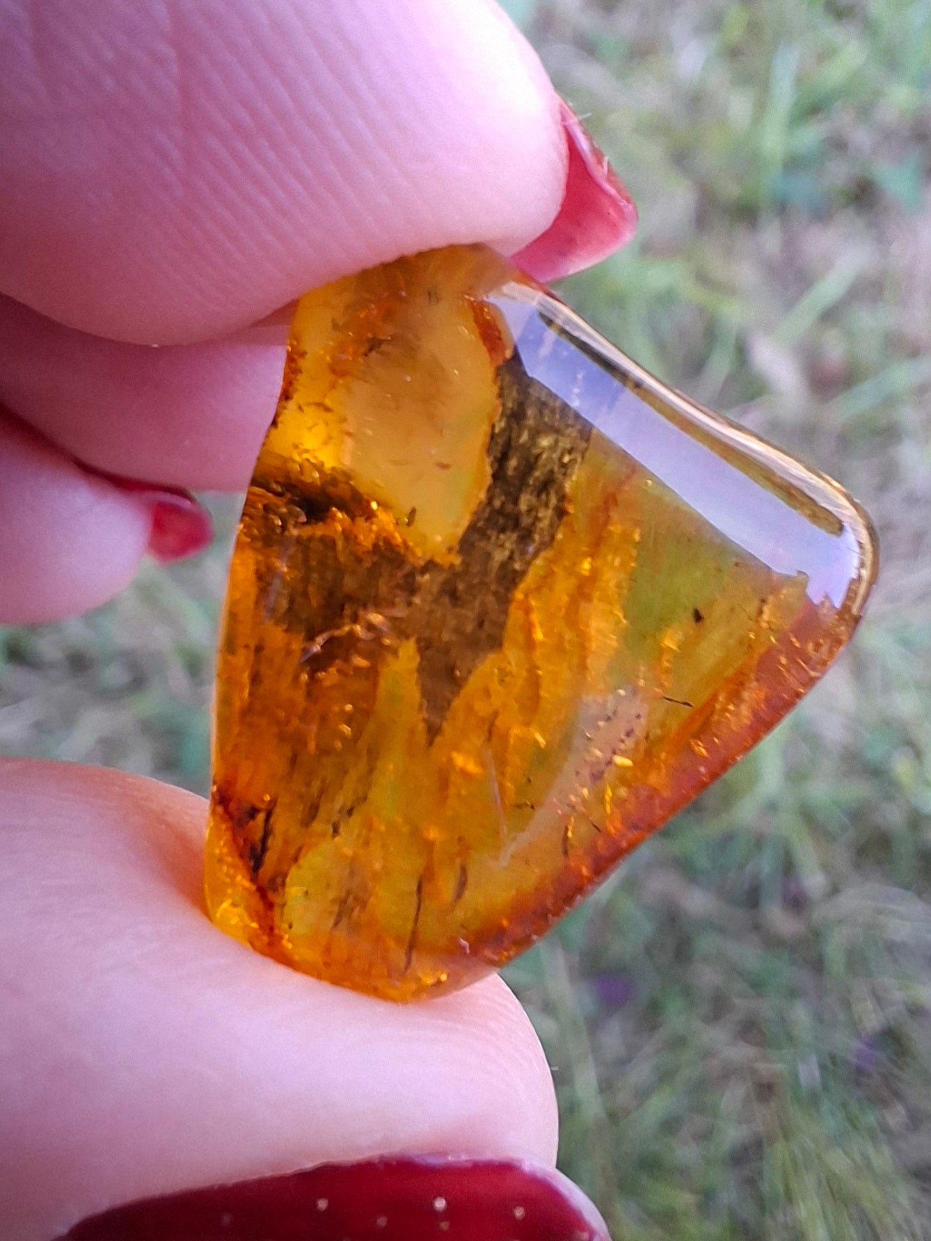 Baltic Amber, 1.61g, Fossil (Ref: A186)