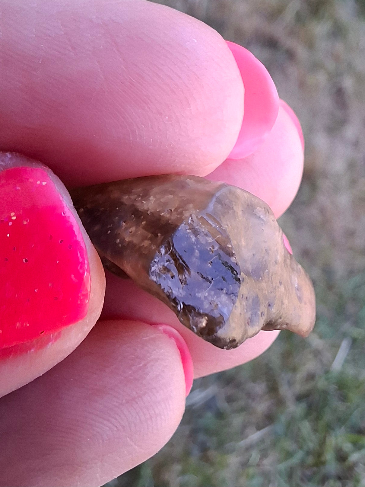 Libyan Desert Glass (darker) Piece, 3.40g, Tektite (Ref: L1362)