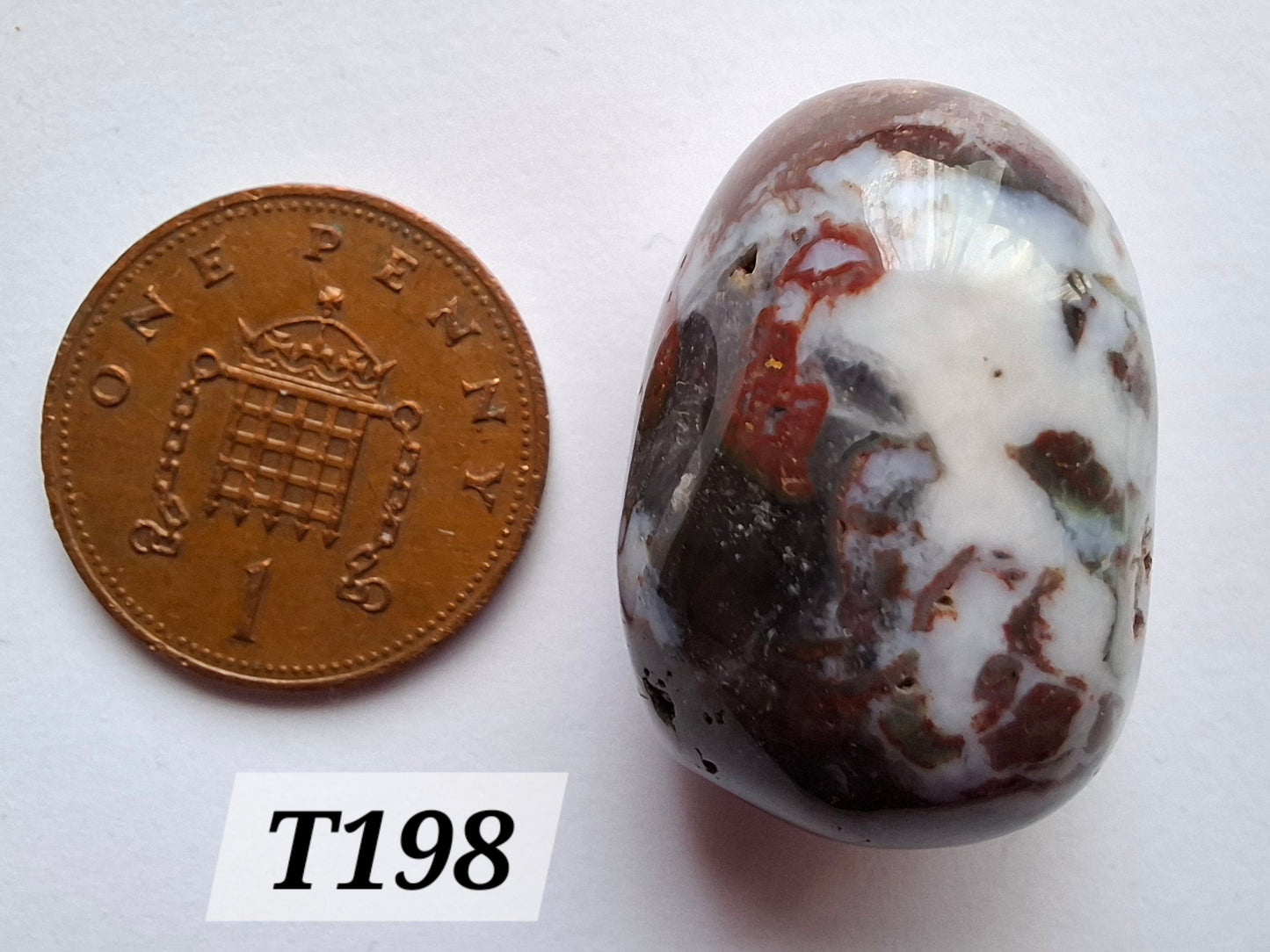 Ocean Jasper, Tumble Stone, Crystal (Ref: T198)