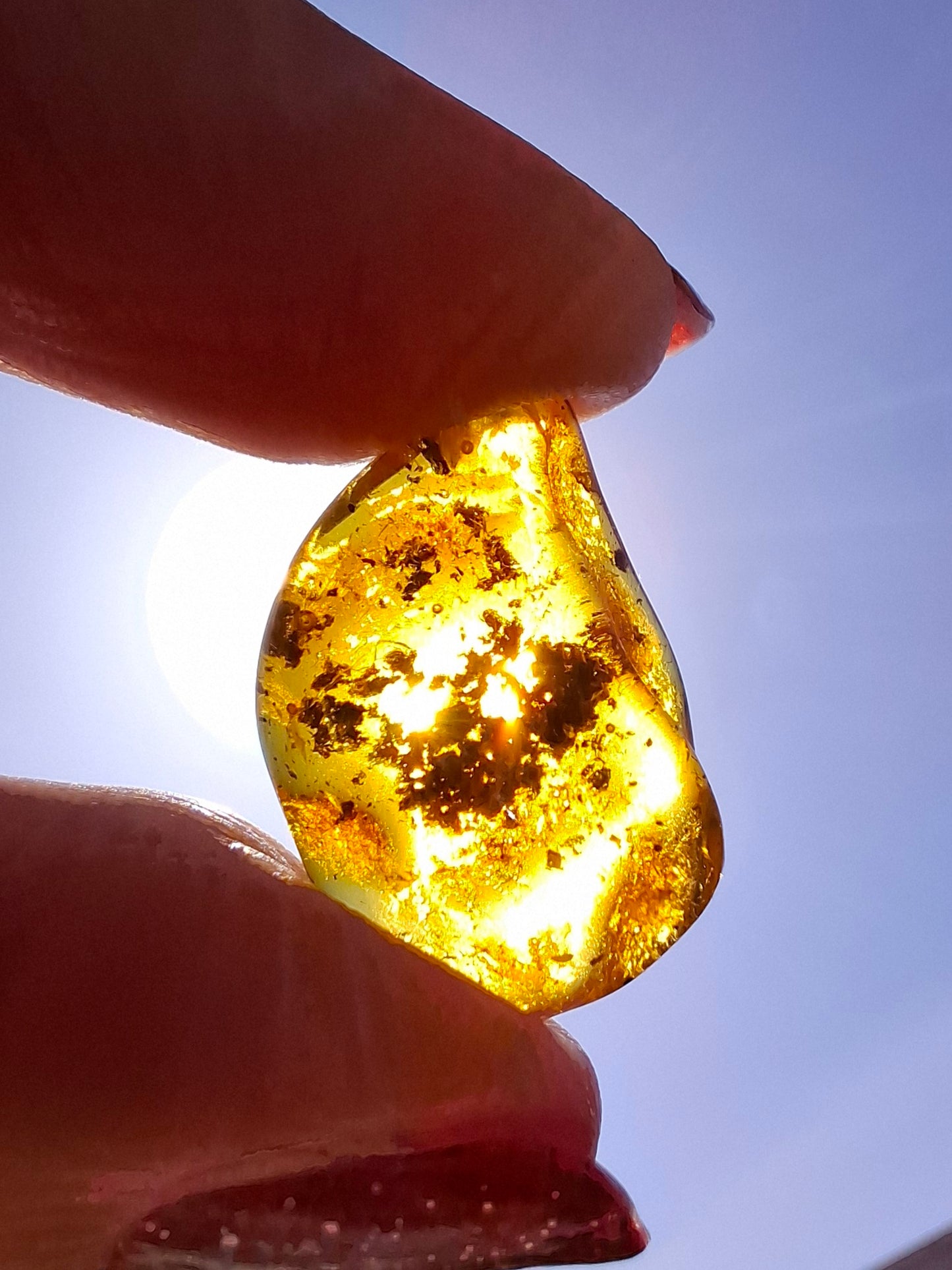 Baltic Amber, 1.13g, Fossil (Ref: A241)