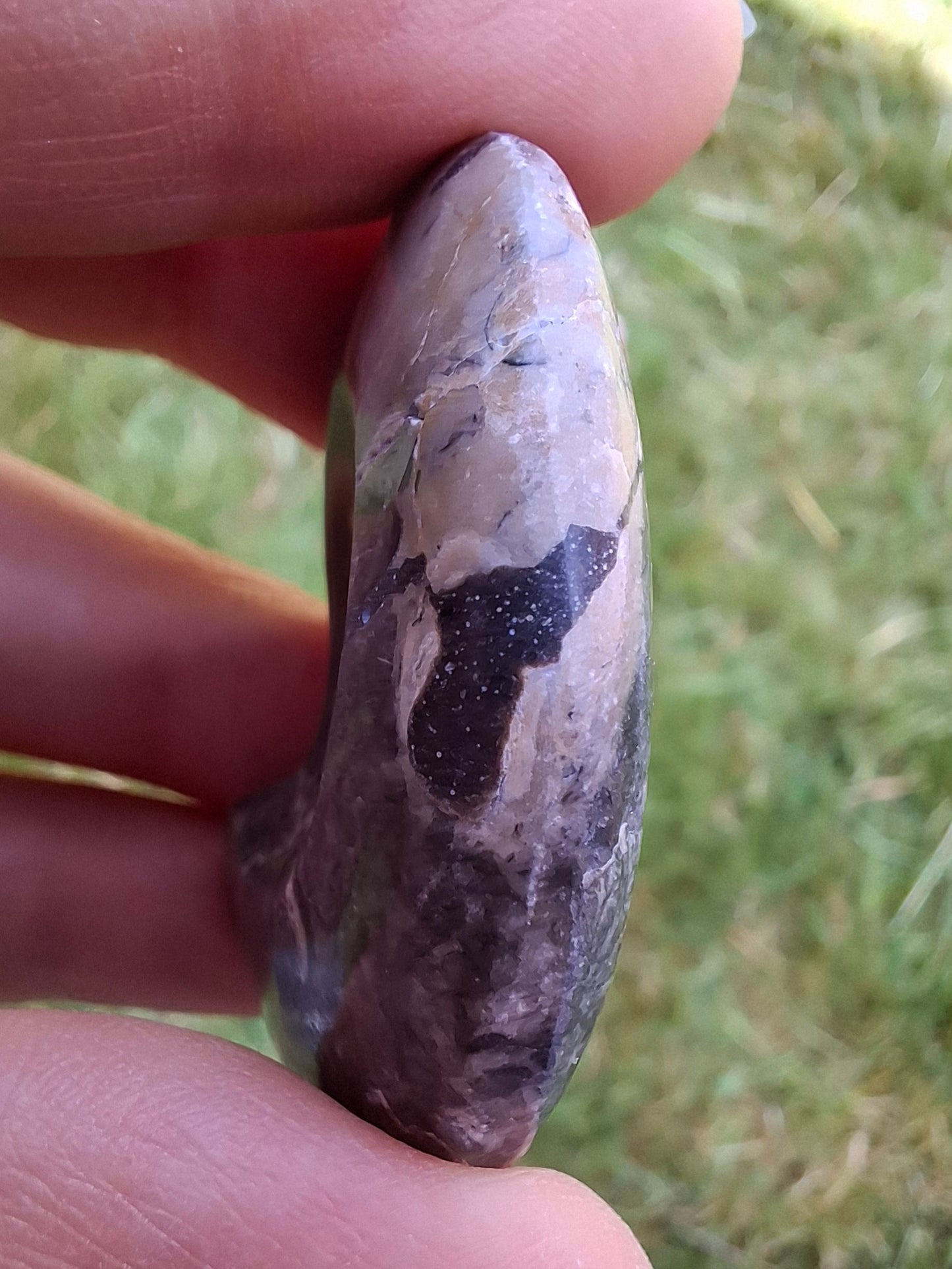 Goniatite, Fossil (Ref: GA9)