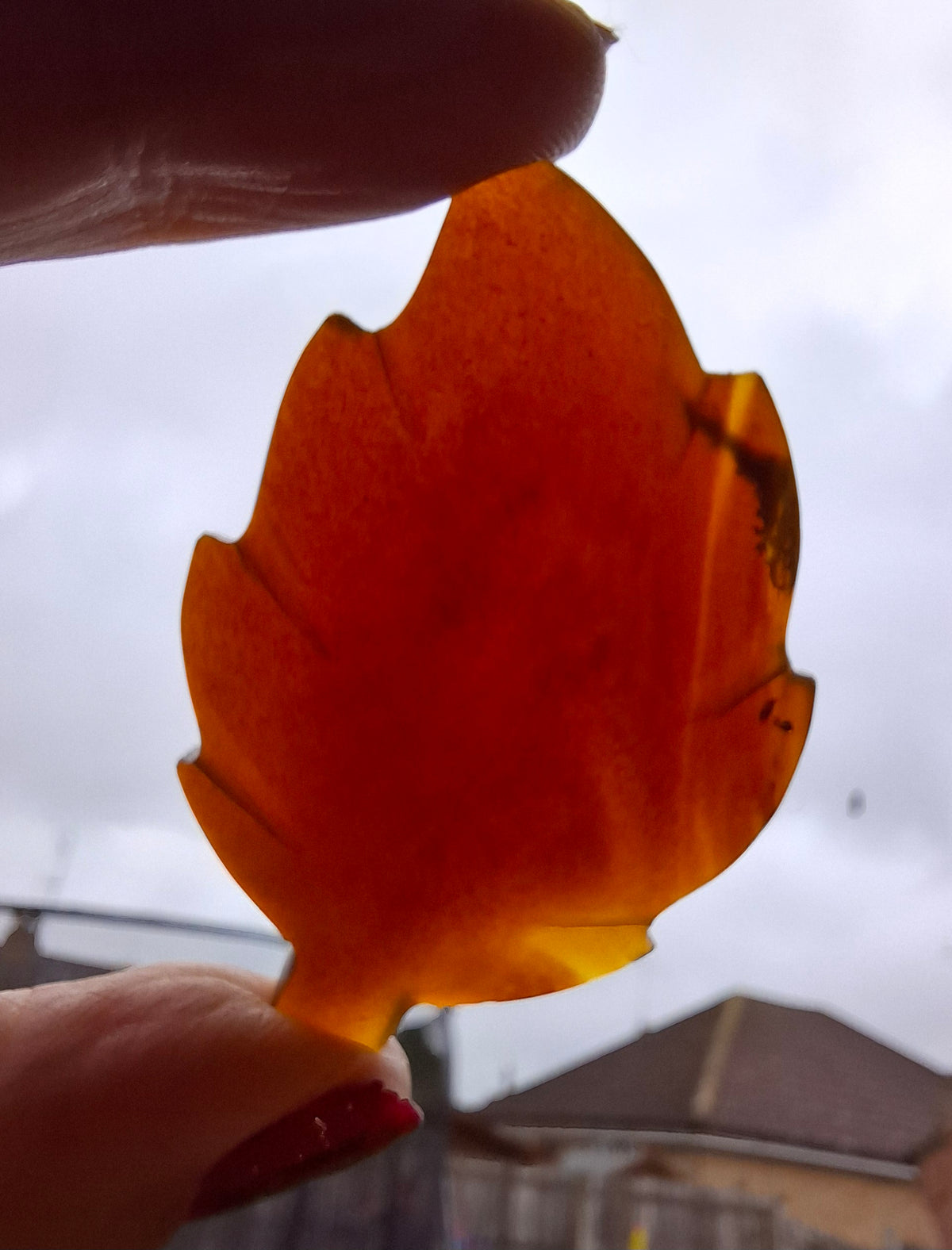 Red Amber Leaf Carving, 7.51g, Fossil (Ref: Leaf12)