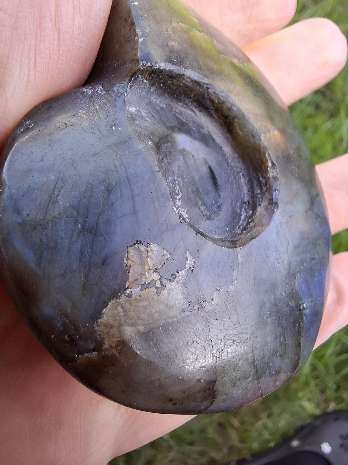 Labradorite Ammonite Carving, 146.90g, Crystal (Ref: laba5)