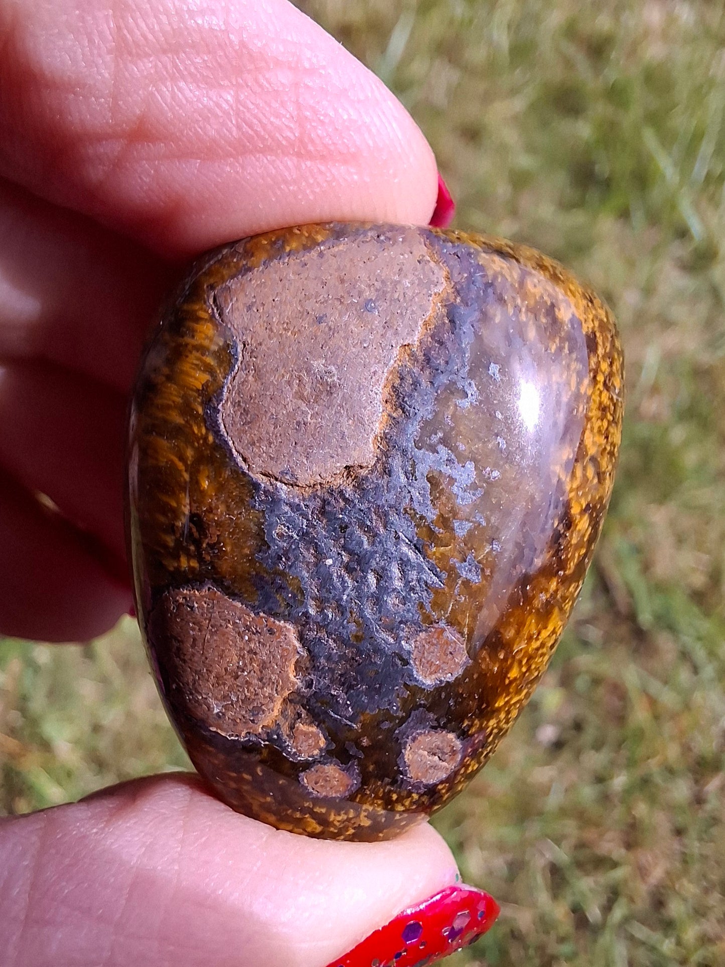 Tigers Eye, Tumble Stone, Crystal (Ref: T129)
