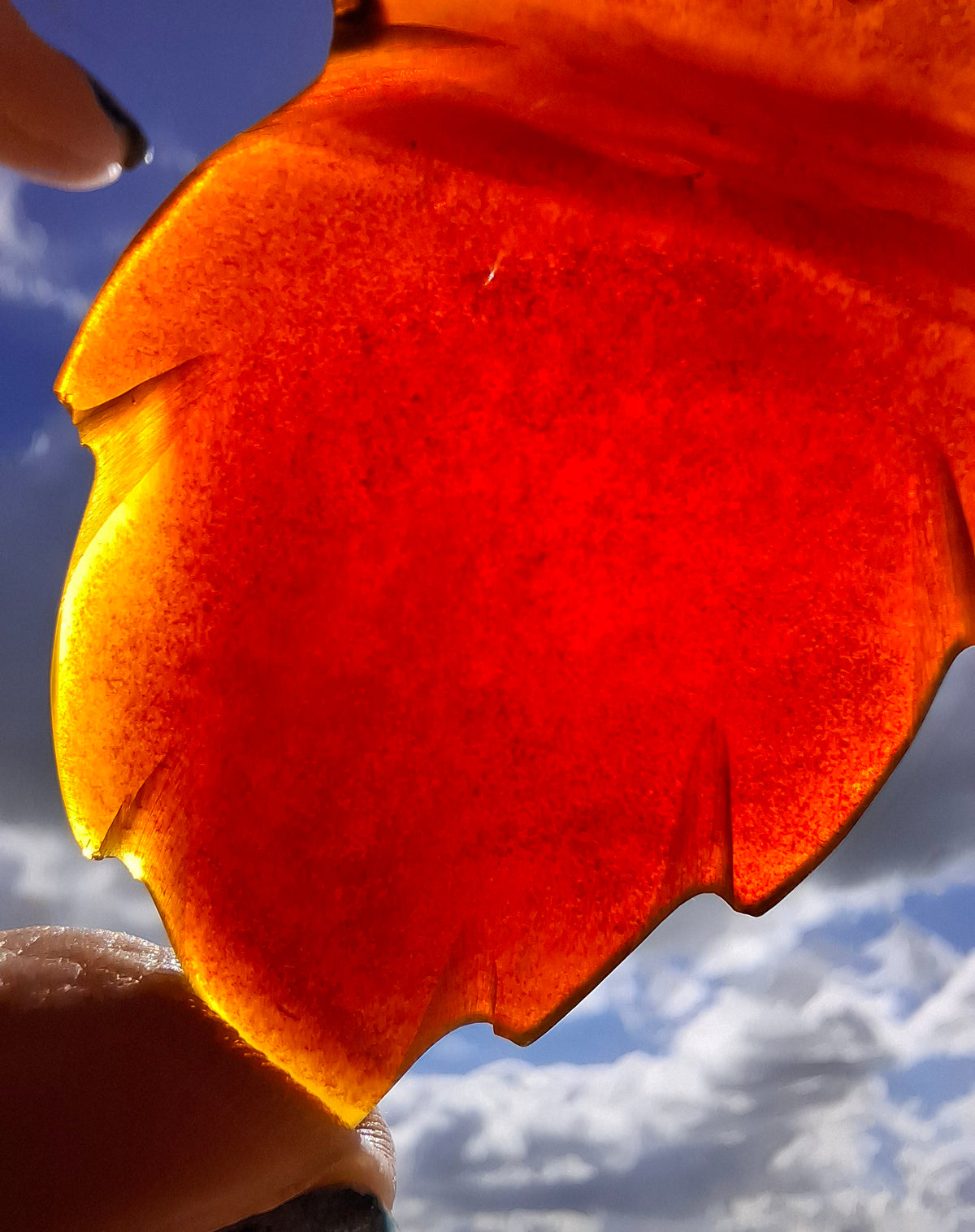 Red Amber Leaf Carving, 7.52g, Fossil (Ref: Leaf6)