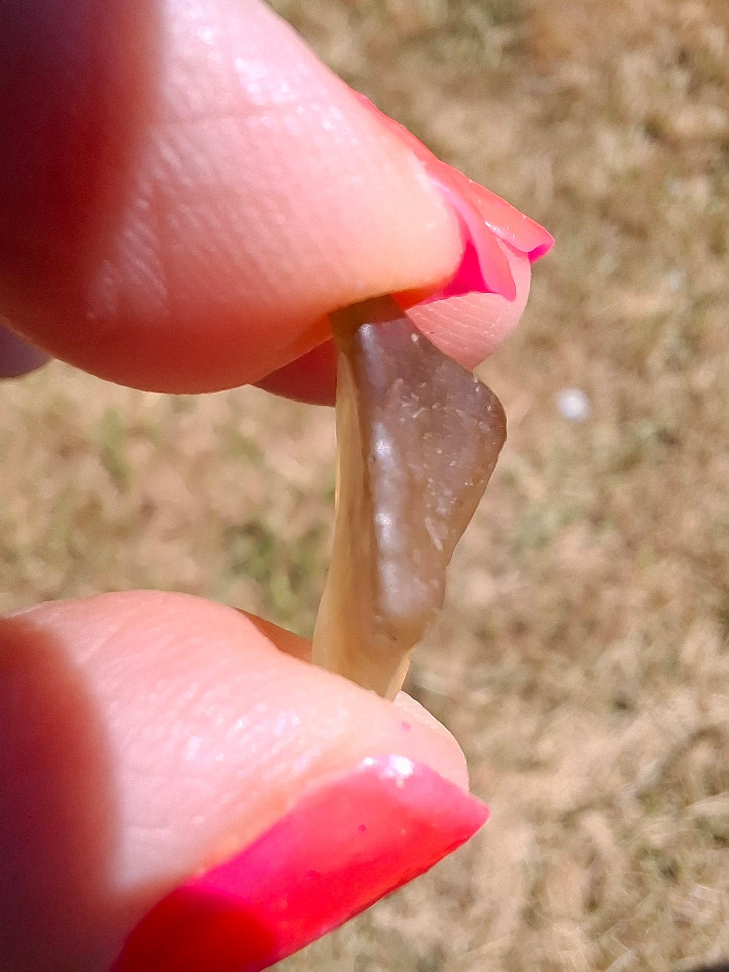 Libyan Desert Glass (darker) Piece, 0.95g, Tektite (Ref: L1363)