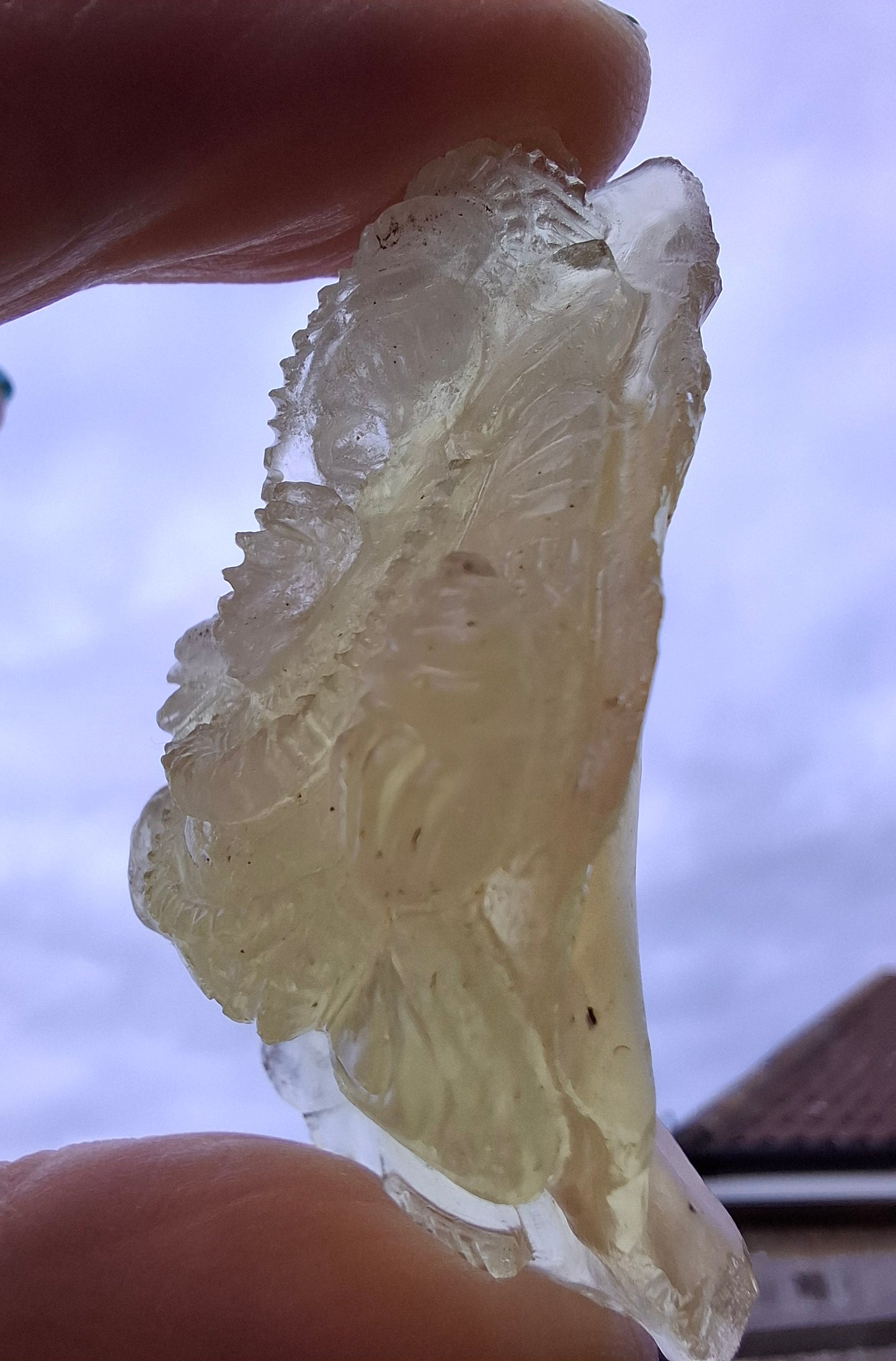 Libyan Desert Glass carving, GANESHA, 26.47g, Tektite (Ref: Ganesha1)